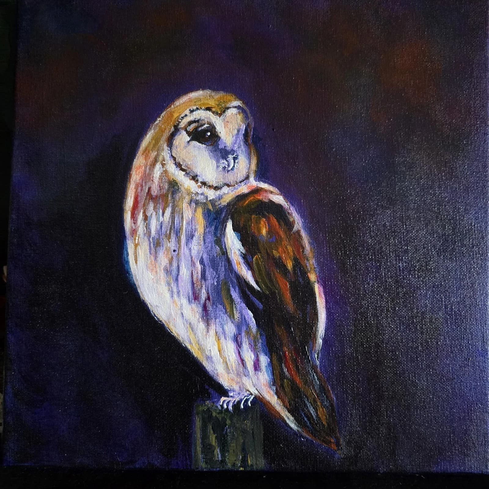 Acrylic Painting Barn Owl Native Bird Wildlife Art Stunning Framed thumbnail 15