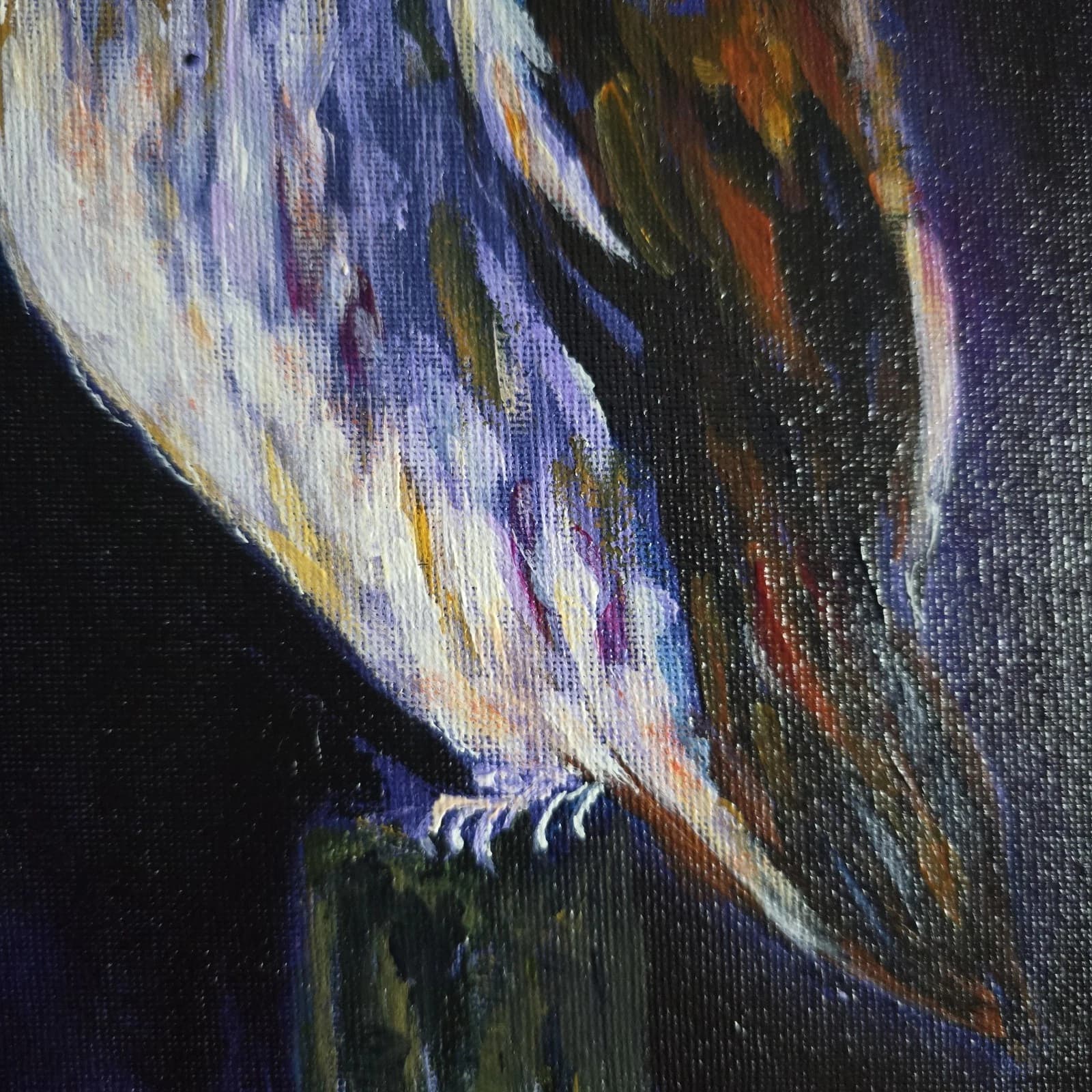 Acrylic Painting Barn Owl Native Bird Wildlife Art Stunning Framed thumbnail 17