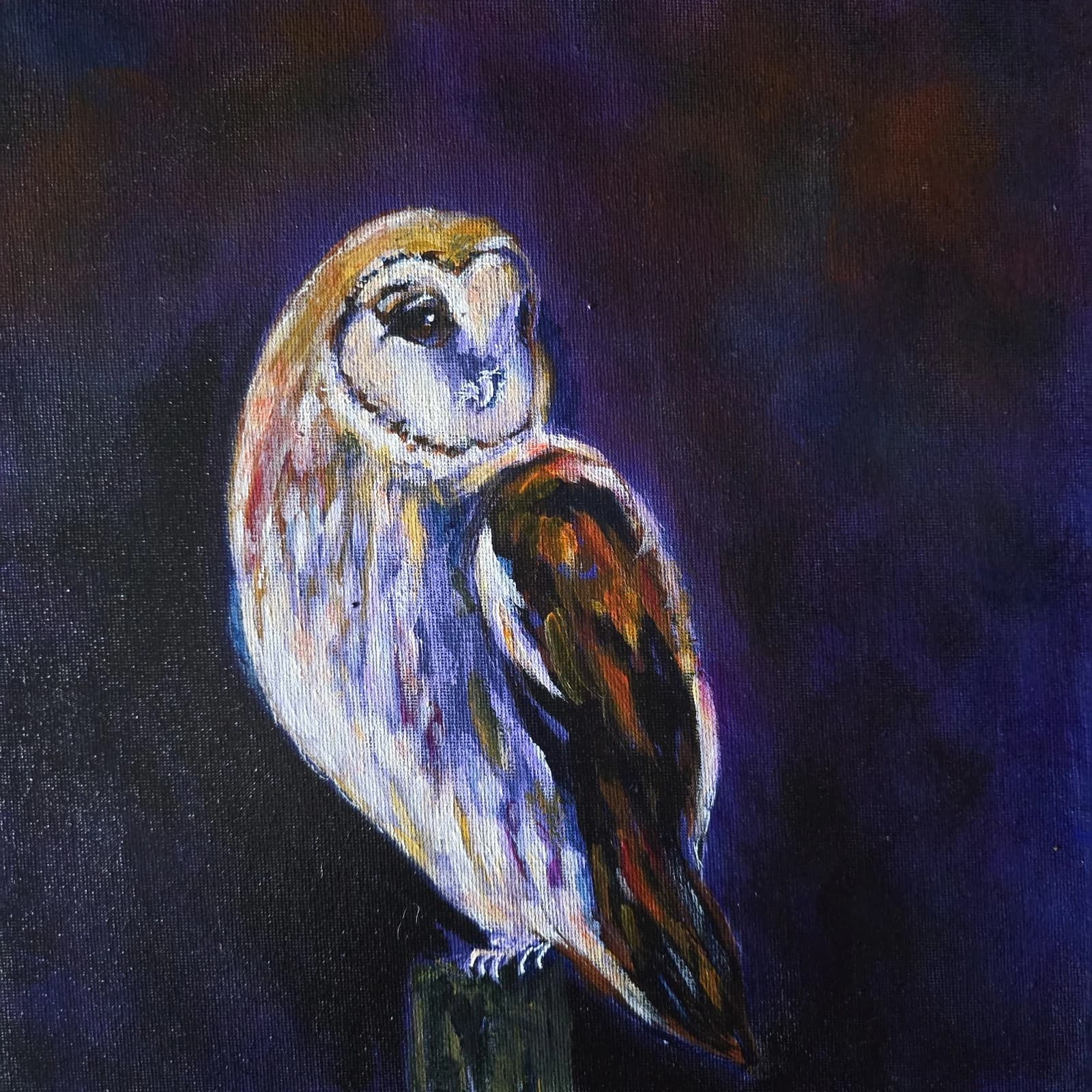 Acrylic Painting Barn Owl Native Bird Wildlife Art Stunning Framed thumbnail 18