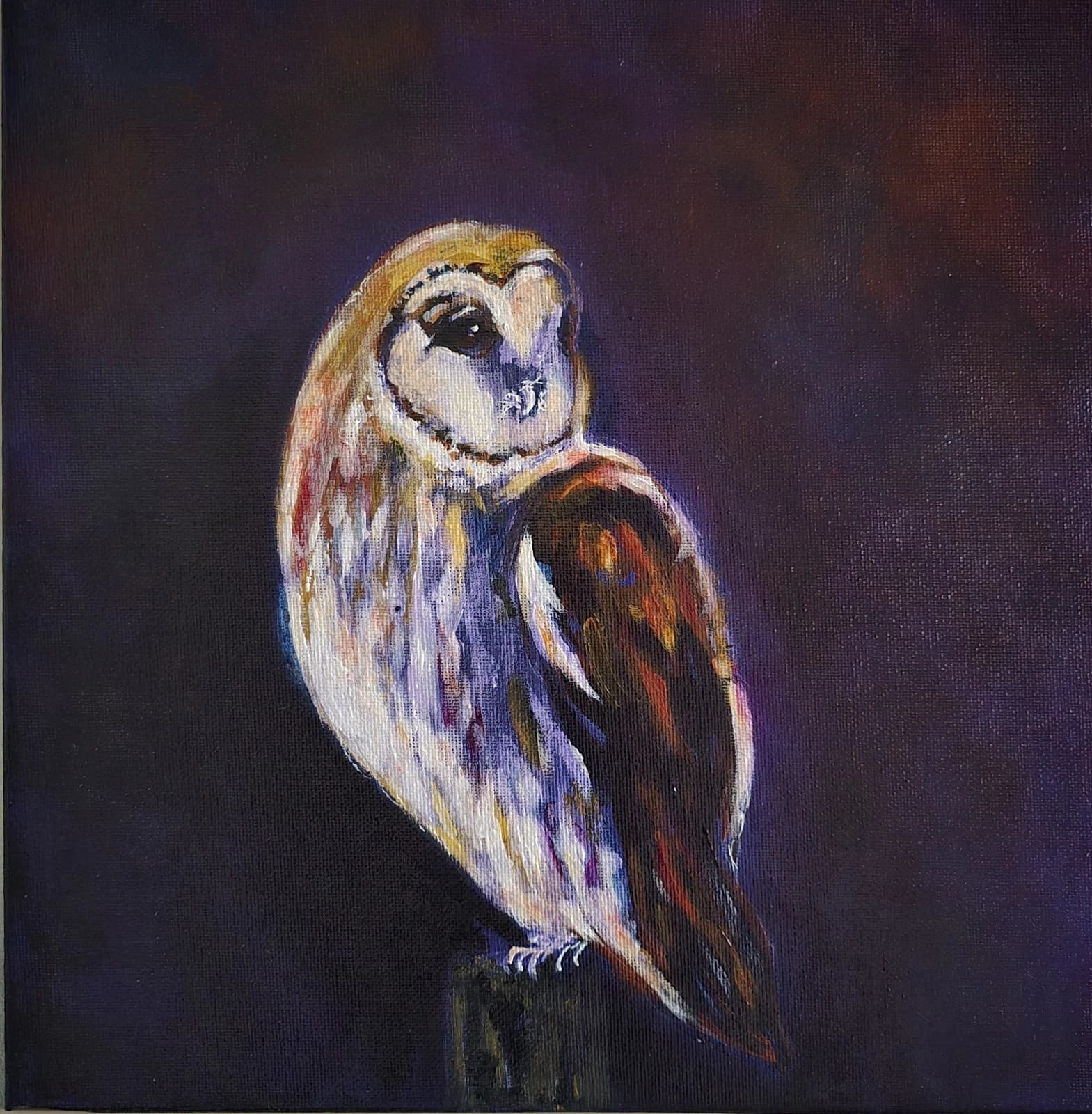 Acrylic Painting Barn Owl Native Bird Wildlife Art Stunning Framed thumbnail 19