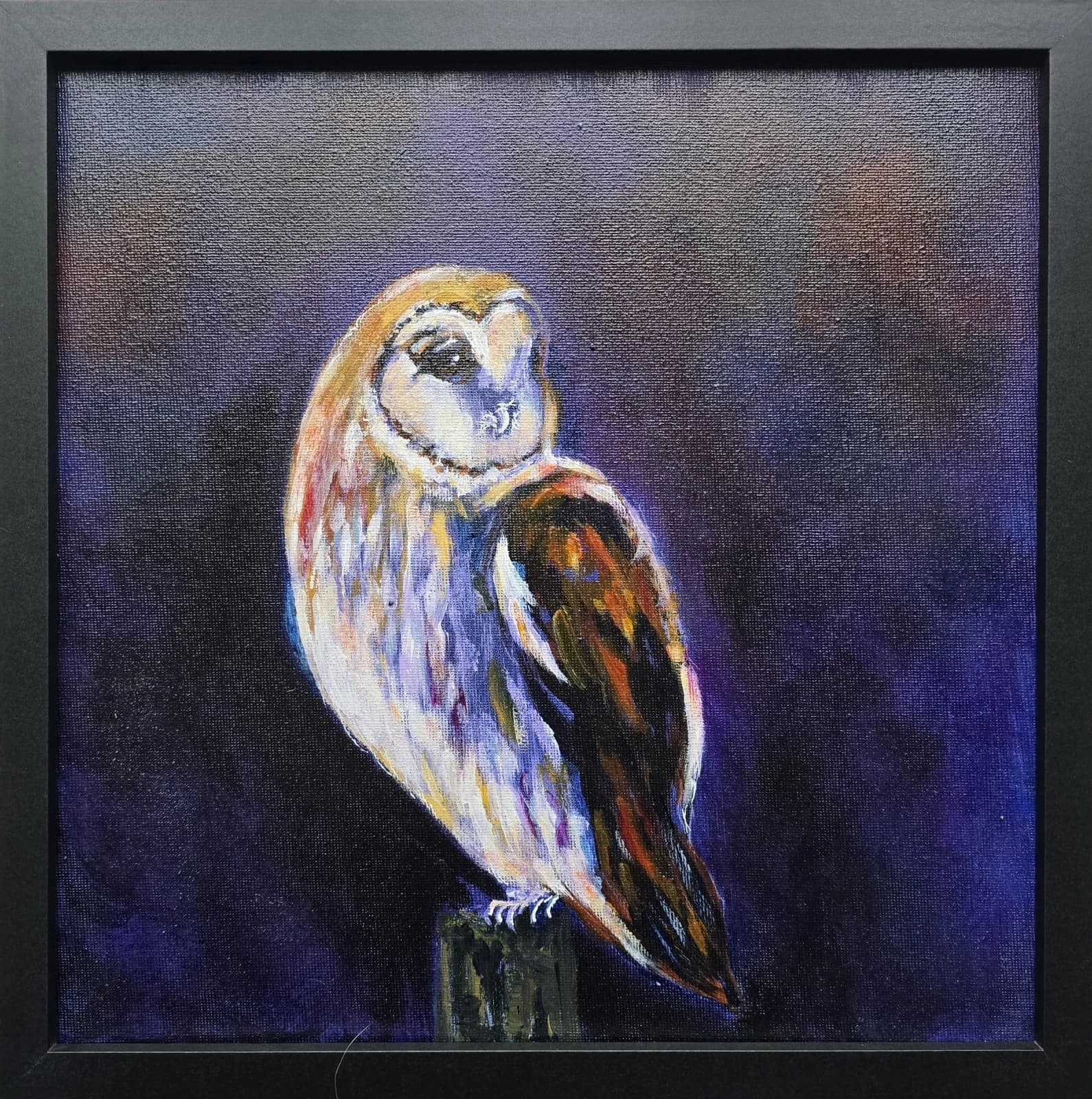 Acrylic Painting Barn Owl Native Bird Wildlife Art Stunning Framed thumbnail 3