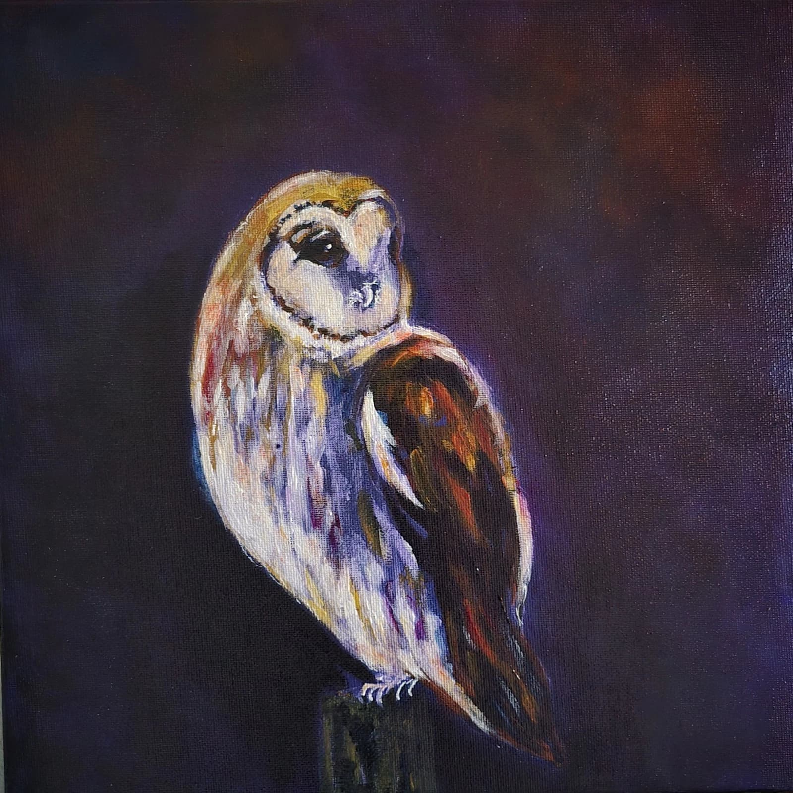 Acrylic Painting Barn Owl Native Bird Wildlife Art Stunning Framed thumbnail 5