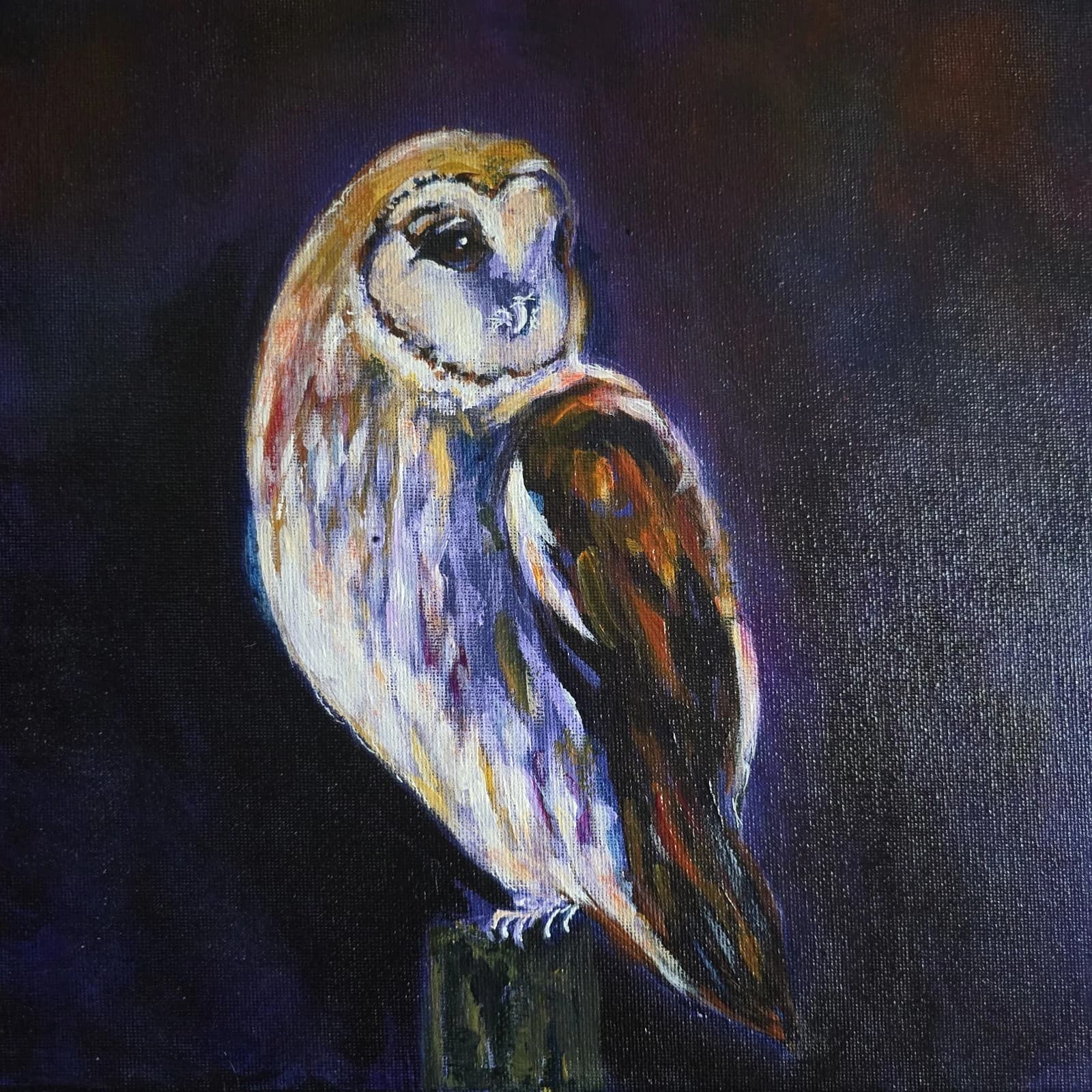Acrylic Painting Barn Owl Native Bird Wildlife Art Stunning Framed thumbnail 6