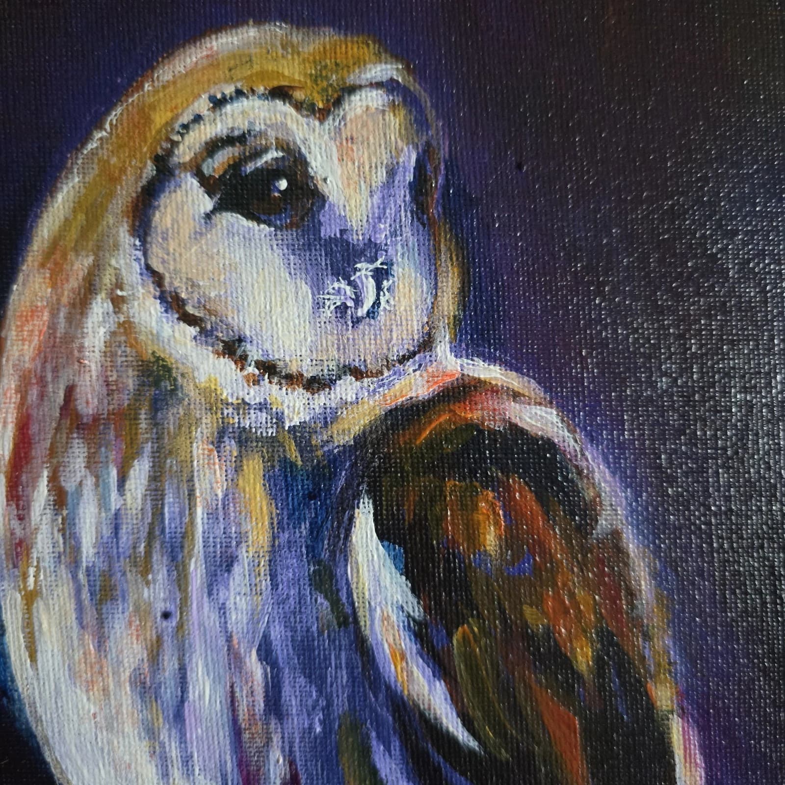 Acrylic Painting Barn Owl Native Bird Wildlife Art Stunning Framed thumbnail 10