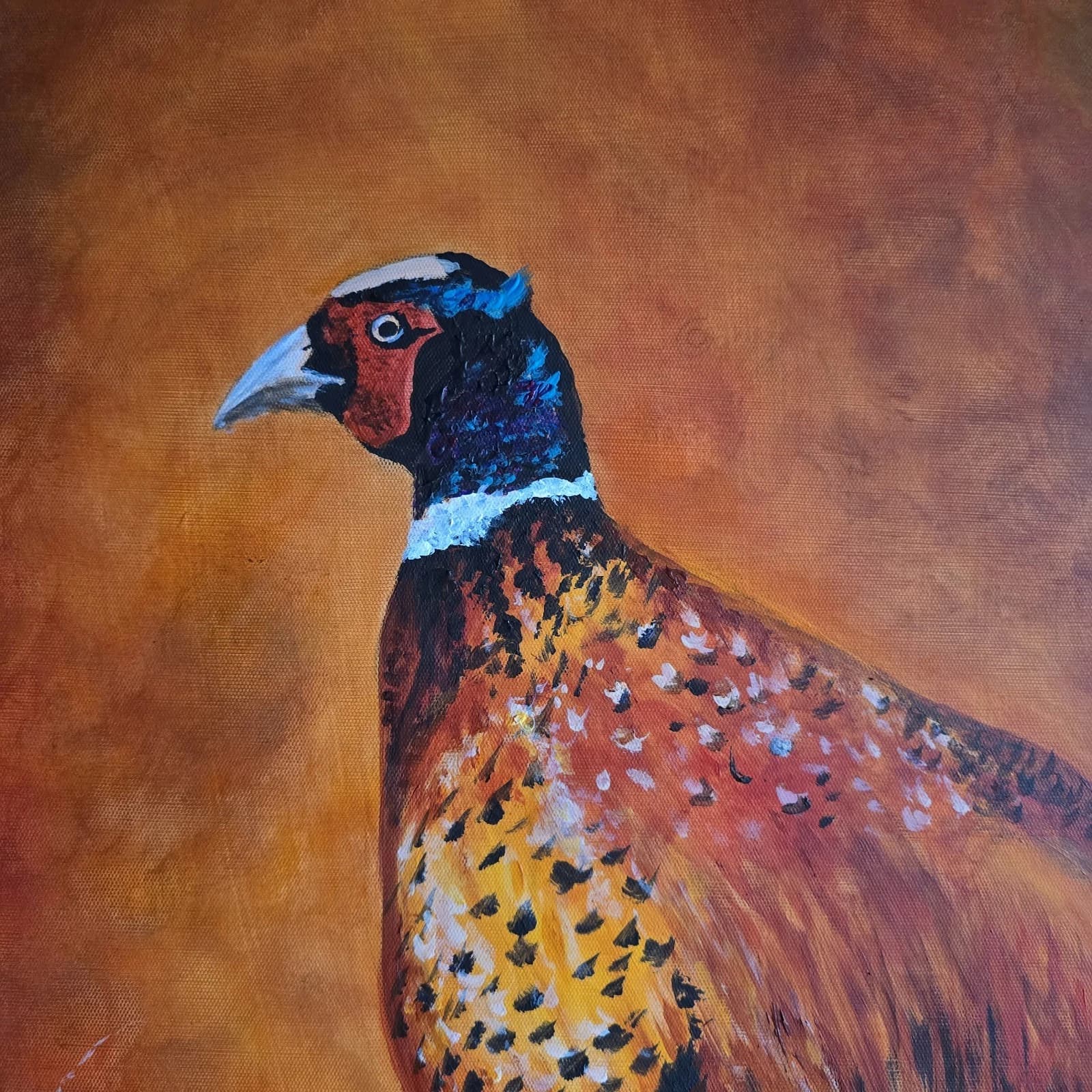 Acrylic Painting Pheasant Game Bird Wildlife Art Canvas thumbnail 11