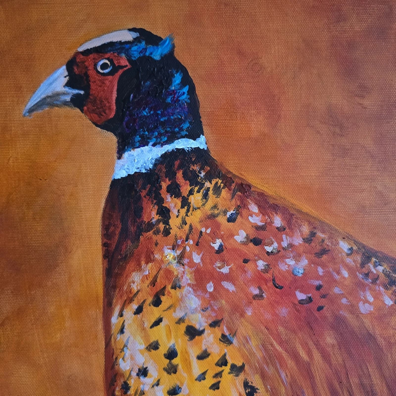 Acrylic Painting Pheasant Game Bird Wildlife Art Canvas thumbnail 13