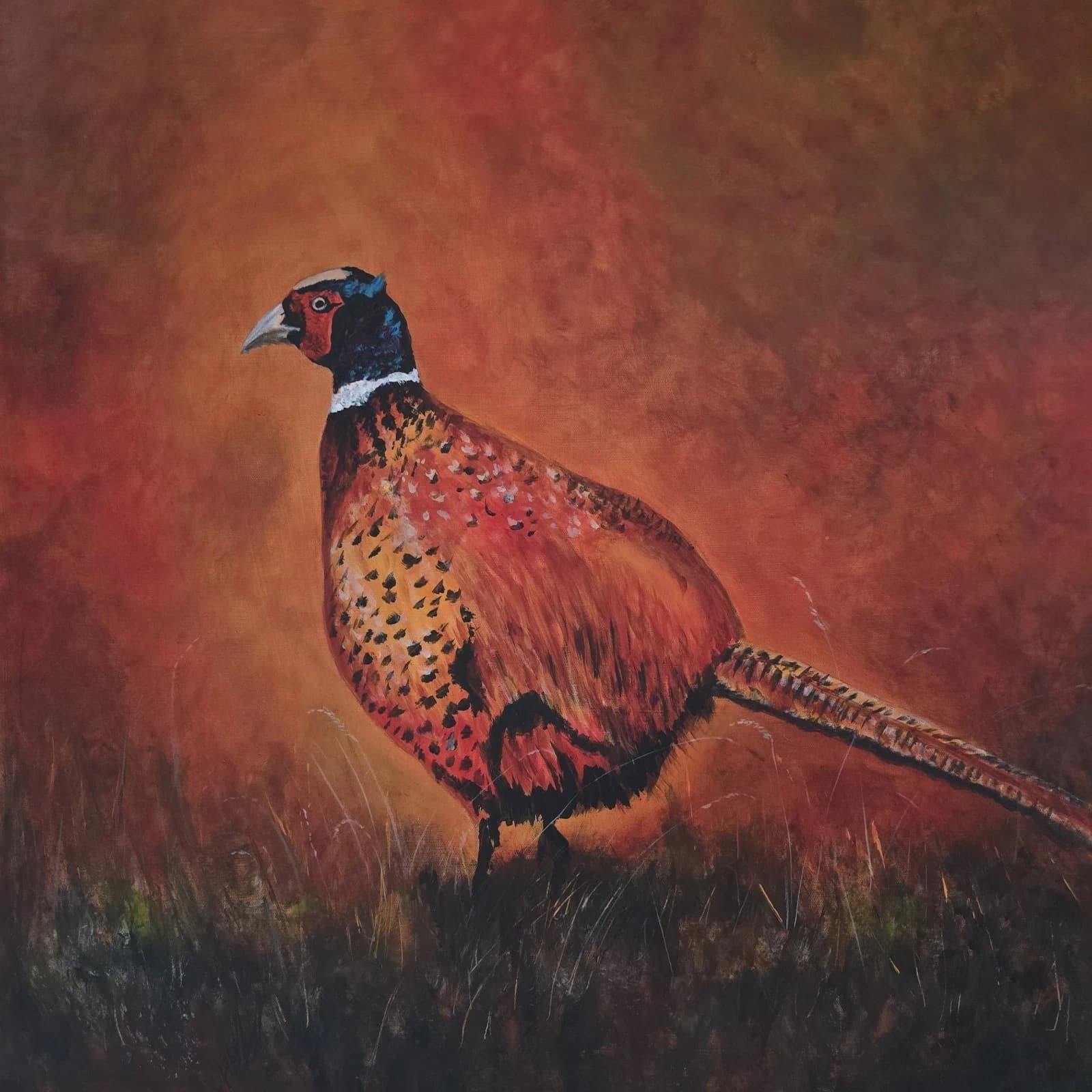 Acrylic Painting Pheasant Game Bird Wildlife Art Canvas thumbnail 6