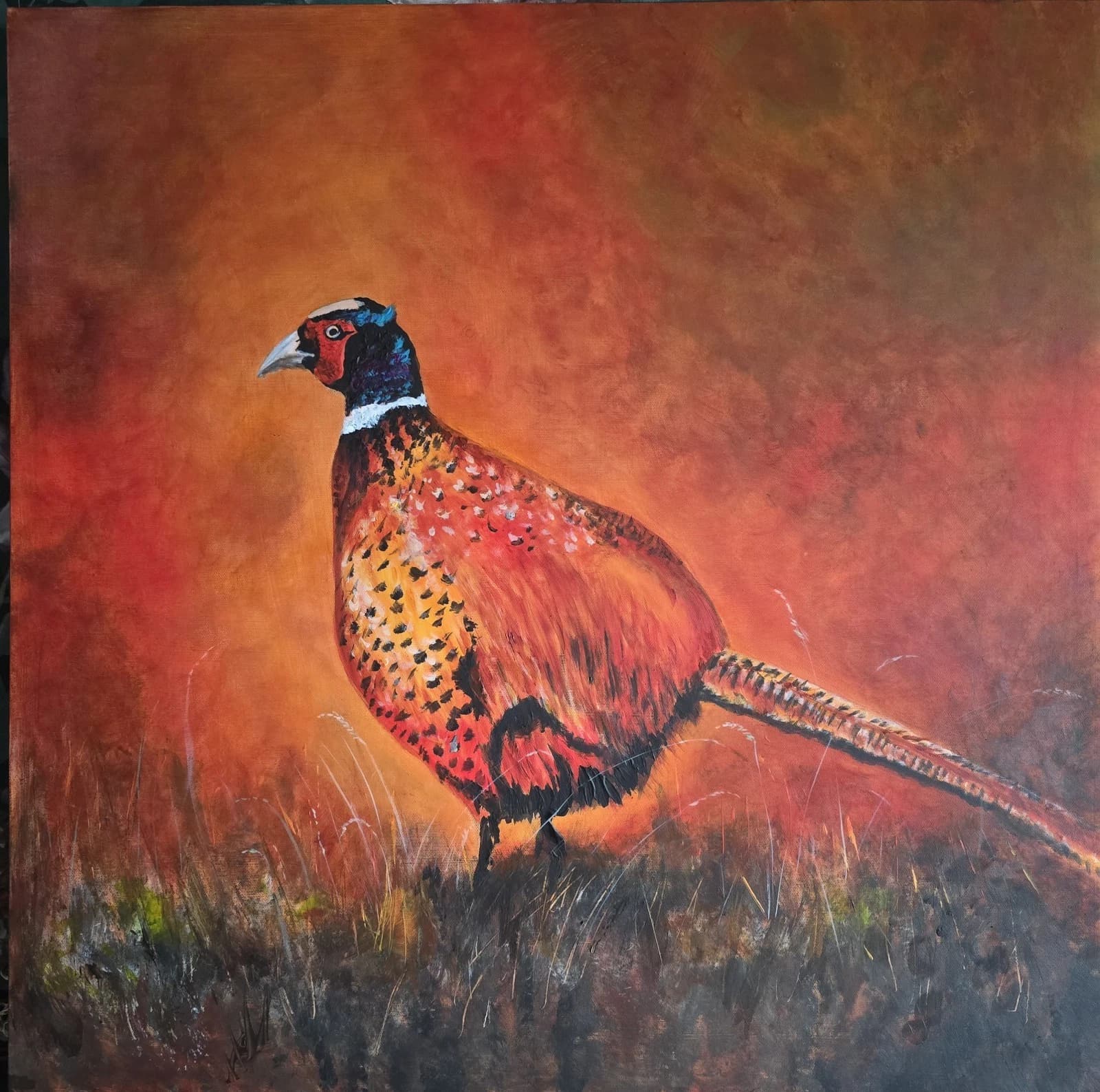 Acrylic Painting Pheasant Game Bird Wildlife Art Canvas