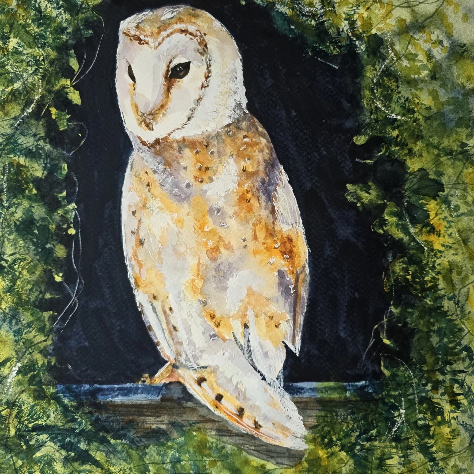 Barn Owl Watercolour Painting, Framed Wildlife thumbnail 8