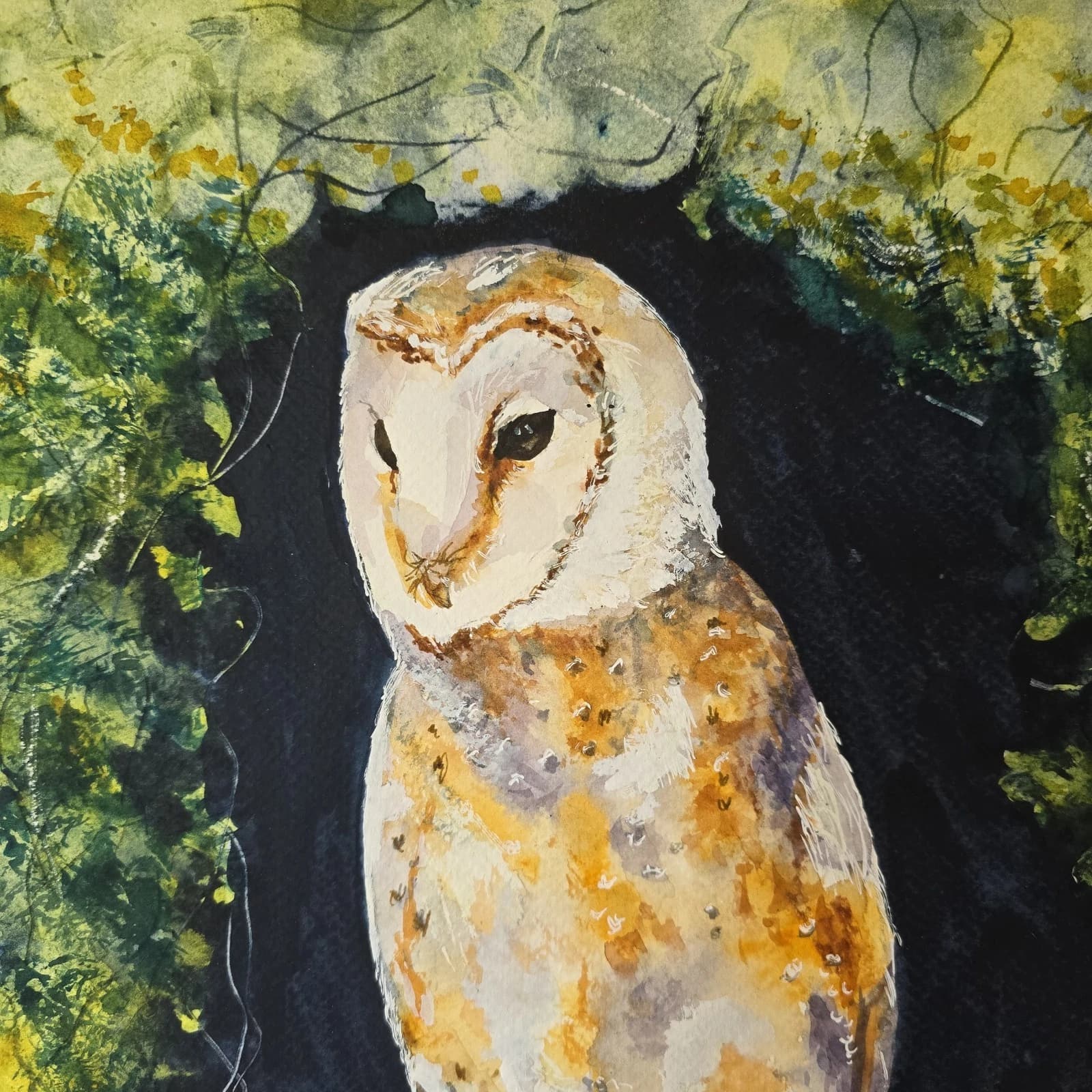 Barn Owl Watercolour Painting, Framed Wildlife thumbnail 9