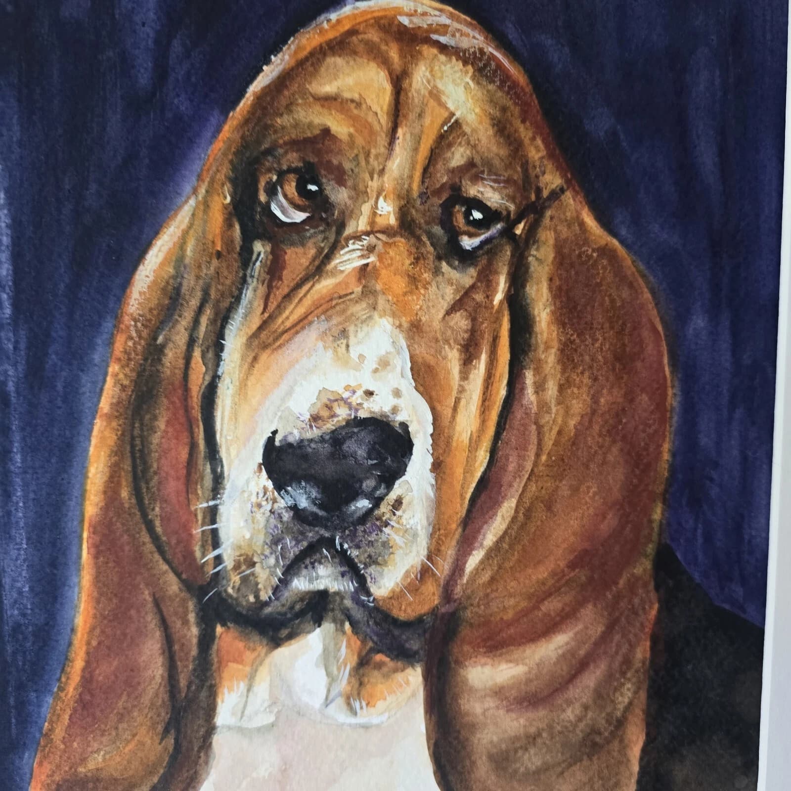 Bassett Hound Dog Portrait Head Watercolour Contemporary Gift Framed thumbnail 2