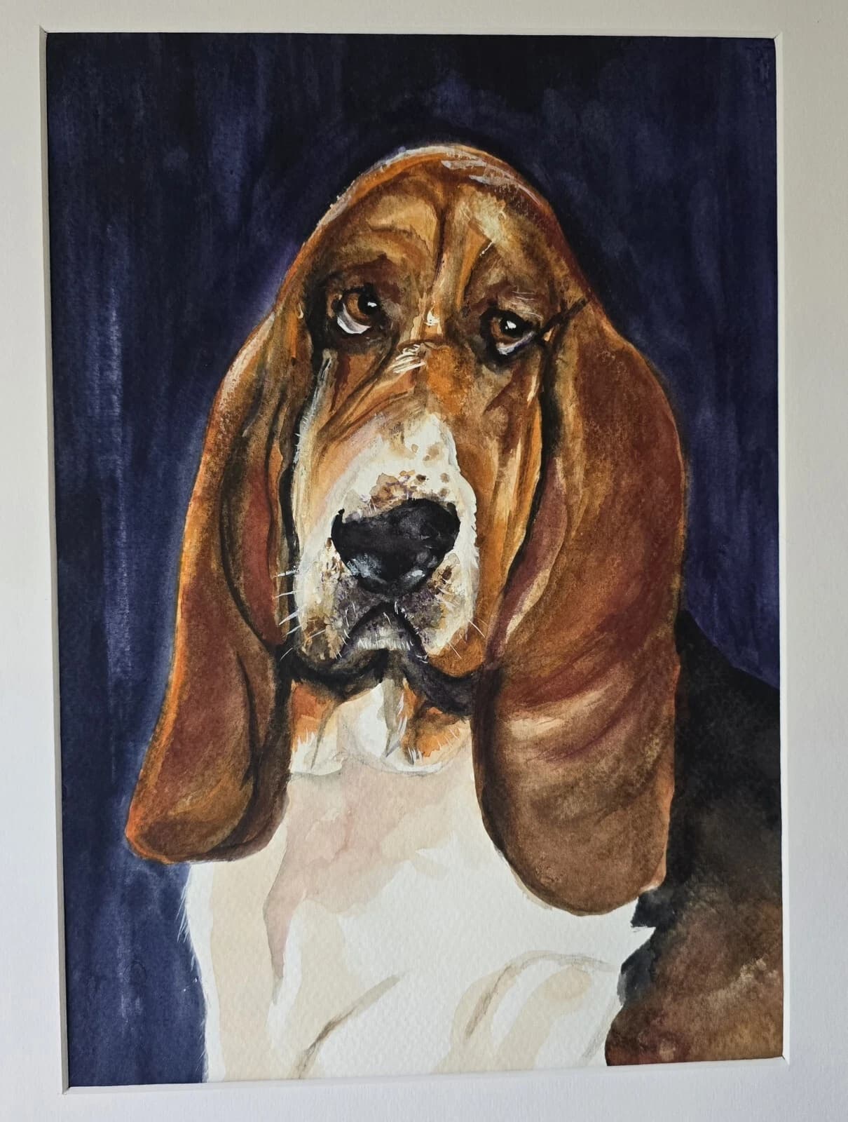 Bassett Hound Dog Portrait Head Watercolour Contemporary Gift Framed thumbnail 7
