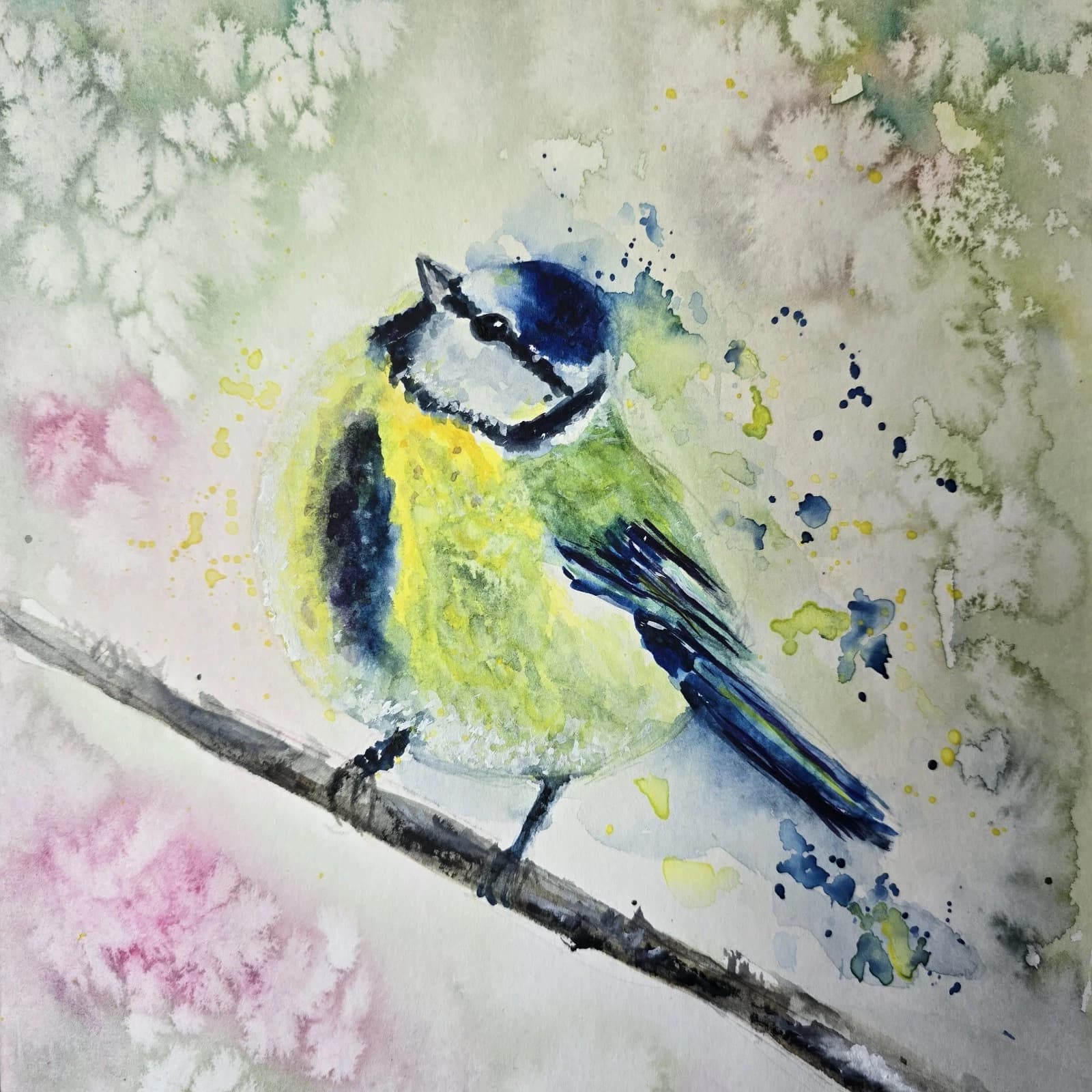 Blue Tit Wildlife Watercolour Painting Native Bird Framed thumbnail 11
