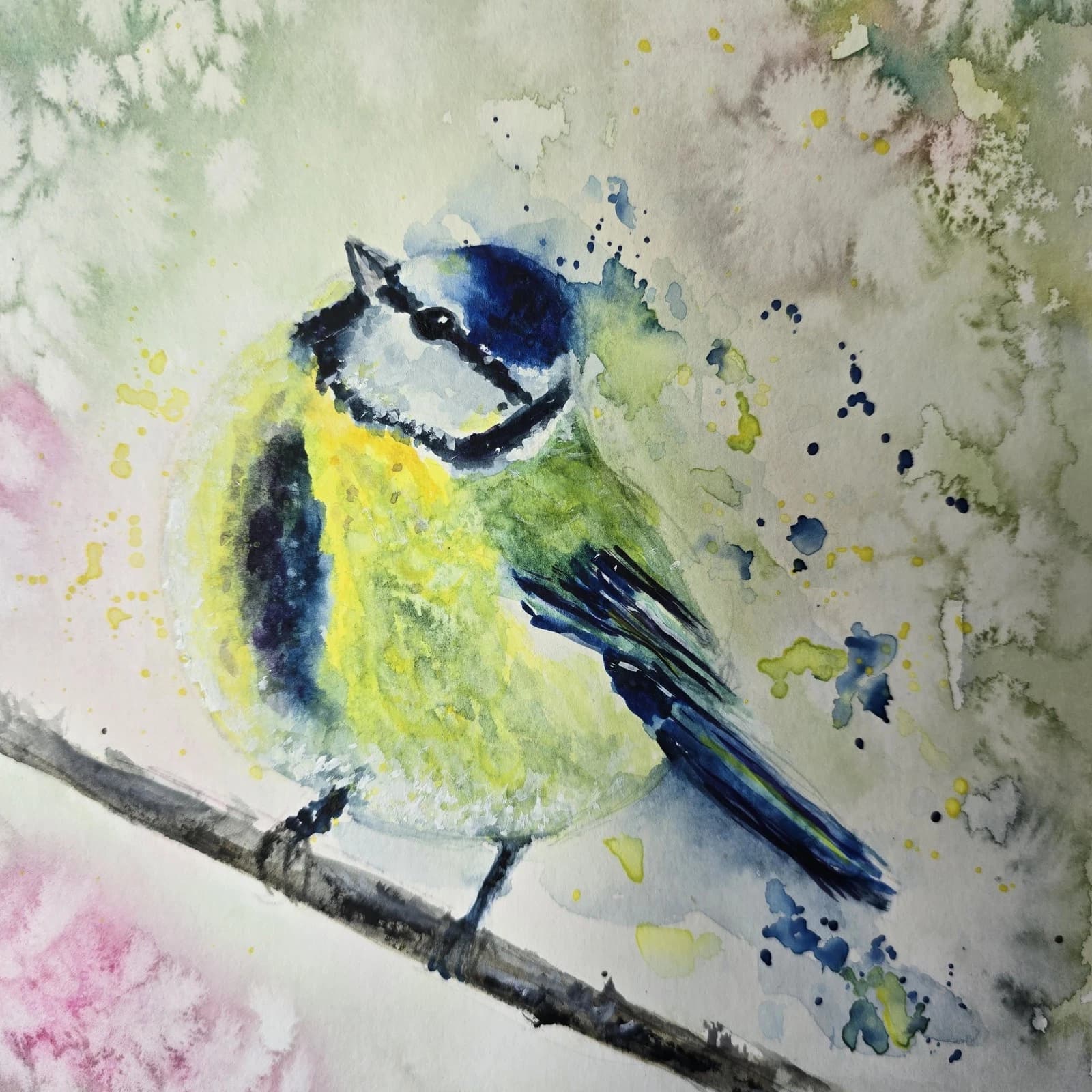 Blue Tit Wildlife Watercolour Painting Native Bird Framed thumbnail 12