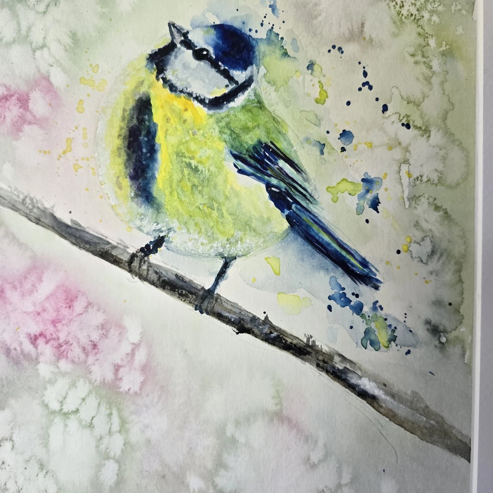 Blue Tit Wildlife Watercolour Painting Native Bird Framed thumbnail 13
