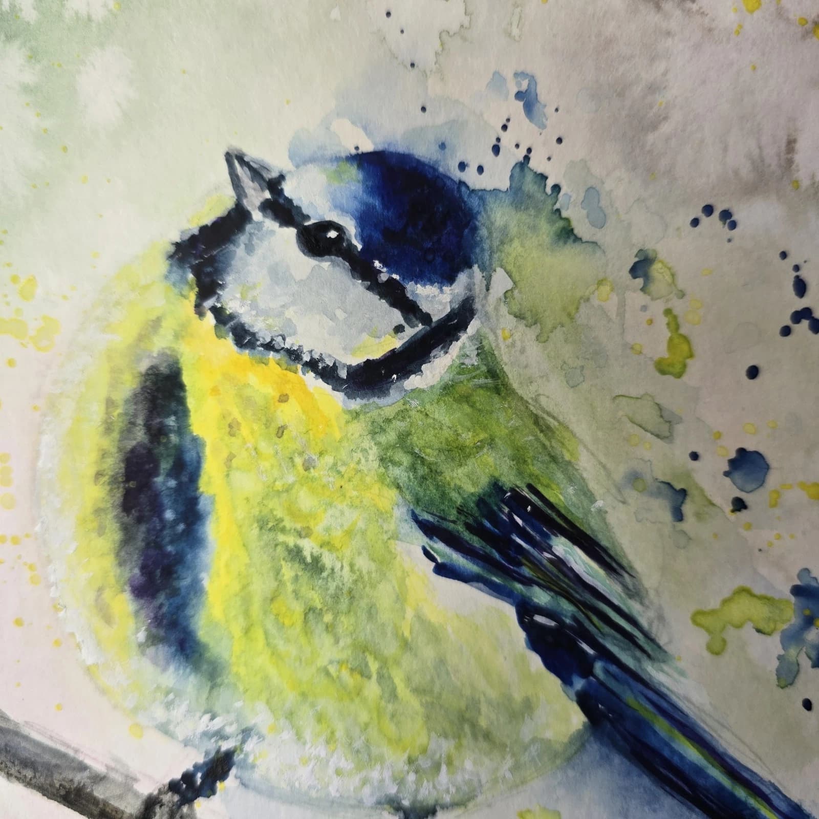Blue Tit Wildlife Watercolour Painting Native Bird Framed thumbnail 14