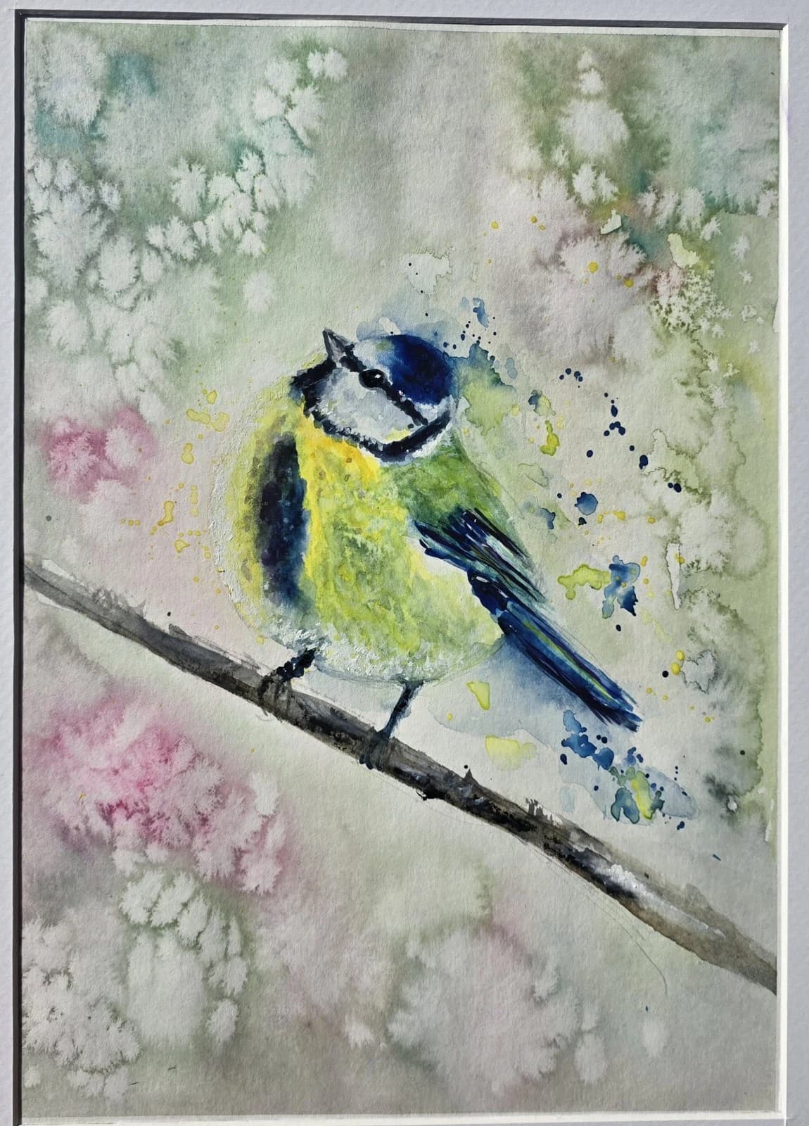 Blue Tit Wildlife Watercolour Painting Native Bird Framed thumbnail 16