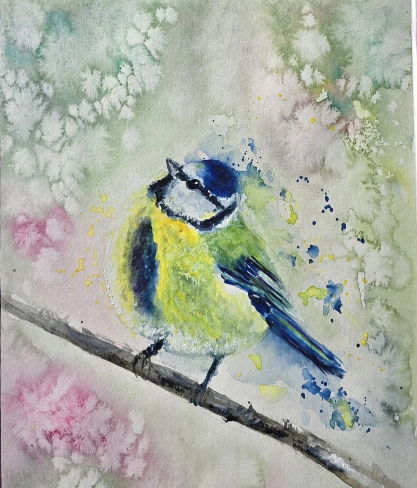 Blue Tit Wildlife Watercolour Painting Native Bird Framed thumbnail 19