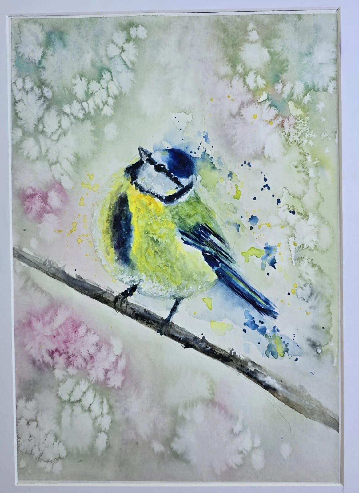 Blue Tit Wildlife Watercolour Painting Native Bird Framed thumbnail 10