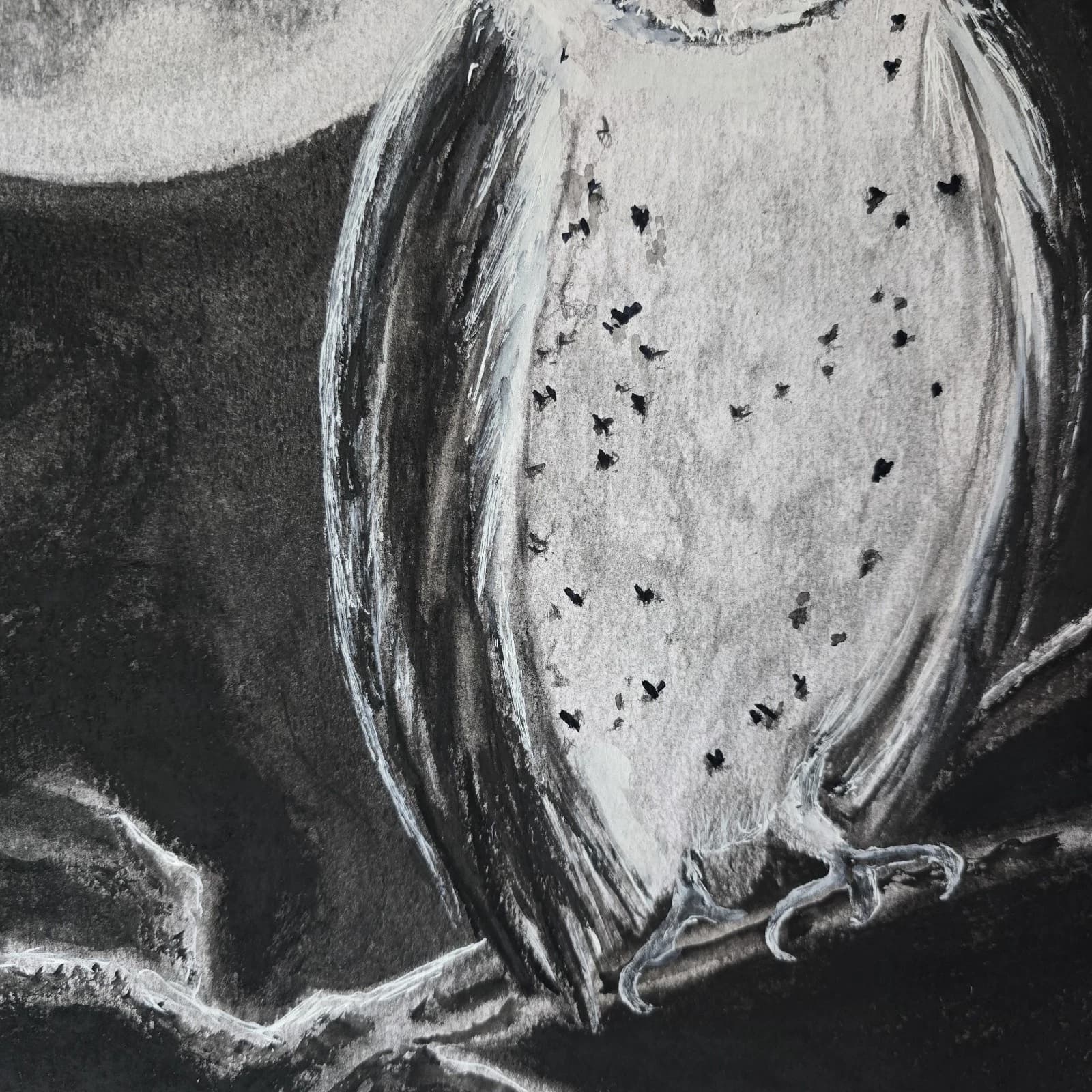 Charcoal Painting Barn Owl Moon Bird Wildlife Framed Monochrome thumbnail 18