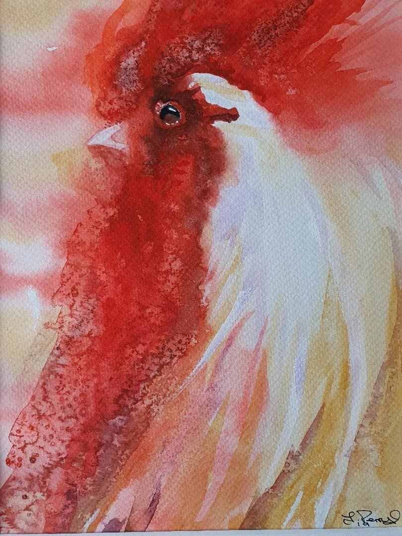 Contemporary Watercolour Painting Cockerel Chicken Head, Rooster thumbnail 2