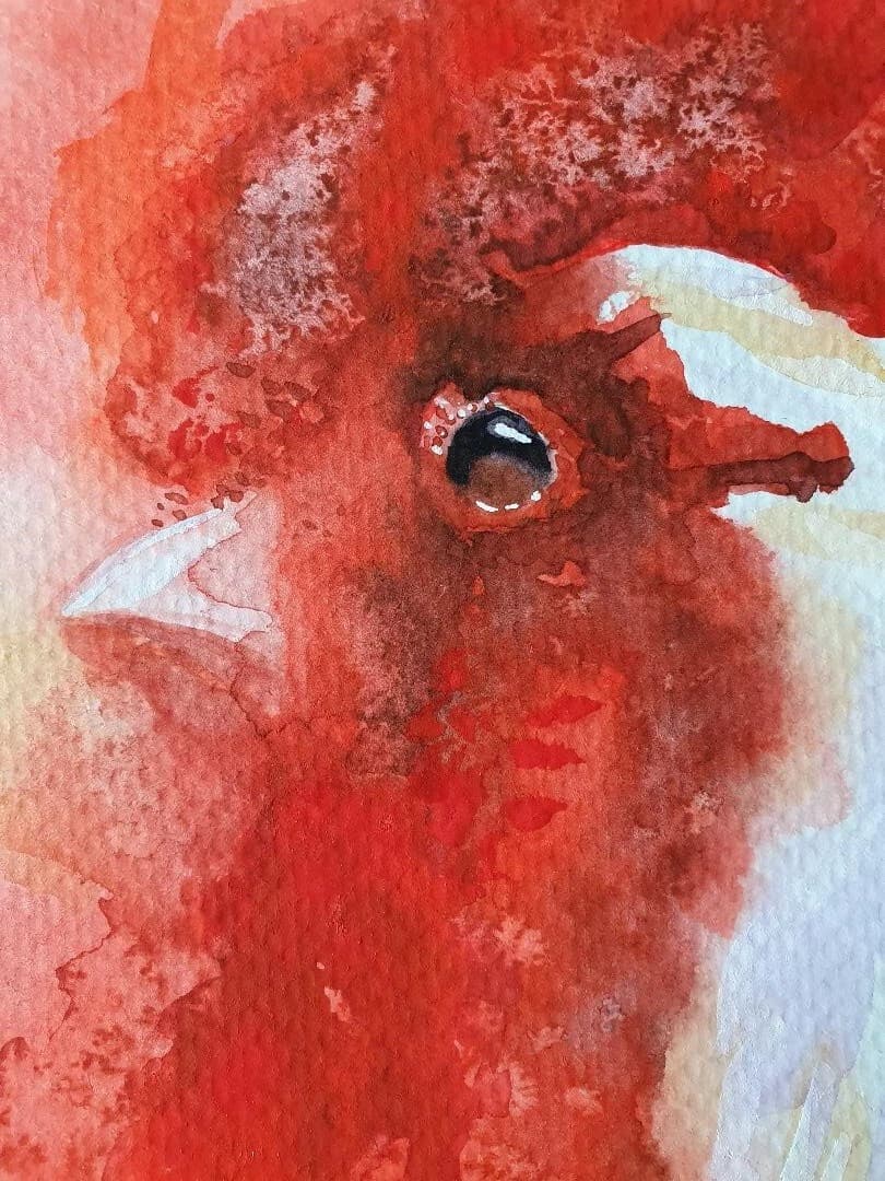 Contemporary Watercolour Painting Cockerel Chicken Head, Rooster thumbnail 4