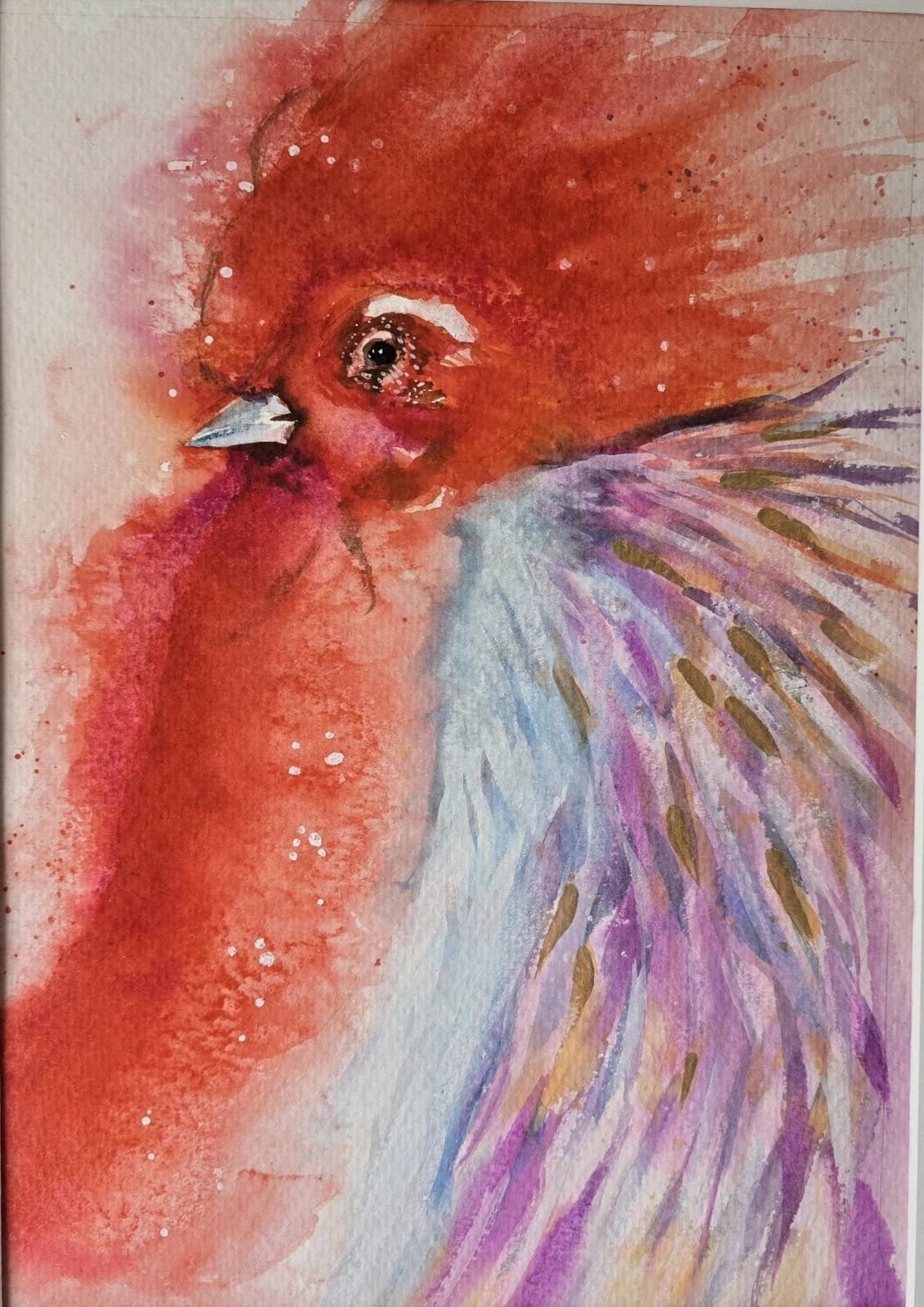 Contemporary Watercolour Painting Cockerell Chicken Rooster Framed thumbnail 13