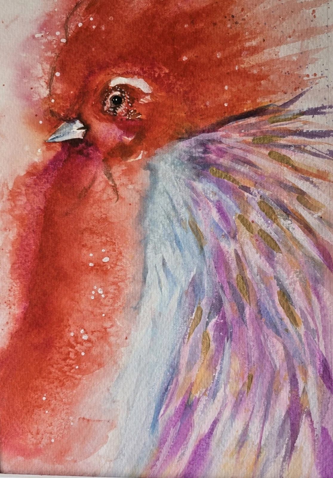 Contemporary Watercolour Painting Cockerell Chicken Rooster Framed thumbnail 14