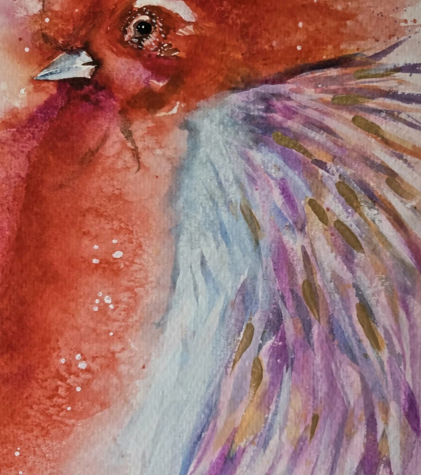 Contemporary Watercolour Painting Cockerell Chicken Rooster Framed thumbnail 15