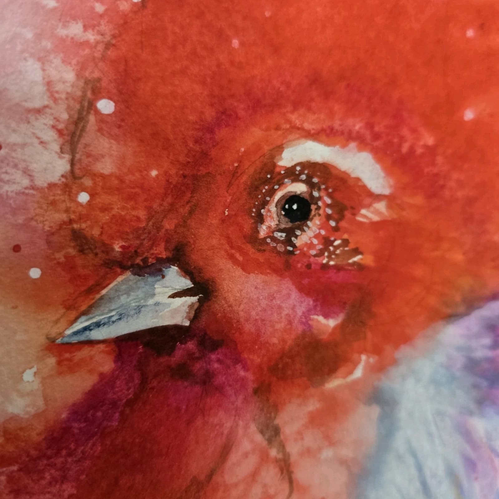 Contemporary Watercolour Painting Cockerell Chicken Rooster Framed thumbnail 3