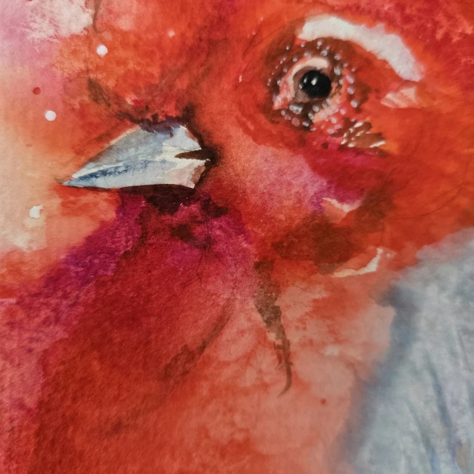 Contemporary Watercolour Painting Cockerell Chicken Rooster Framed thumbnail 9