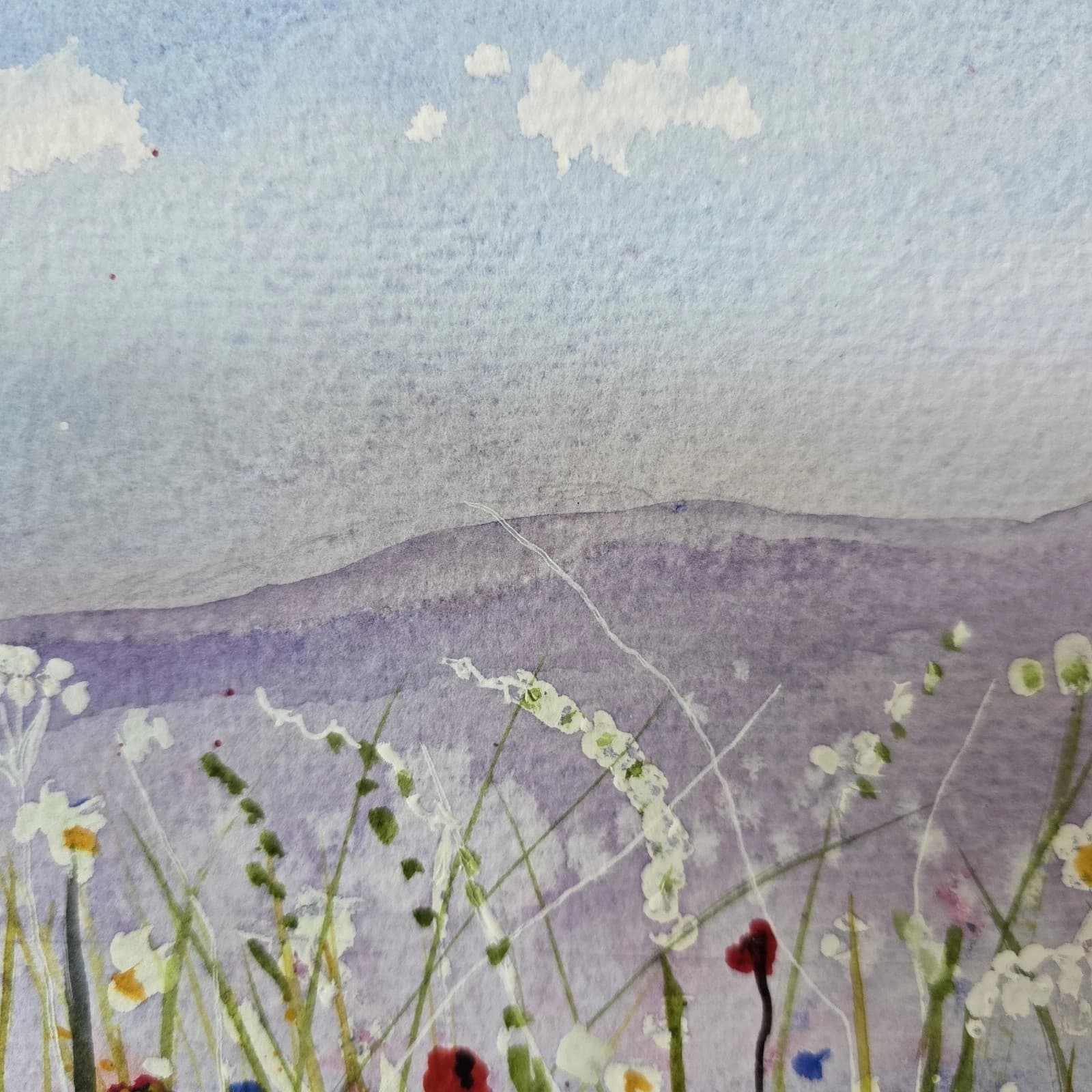 Floral Anglesey Landscape Watercolour Painting Framed thumbnail 7
