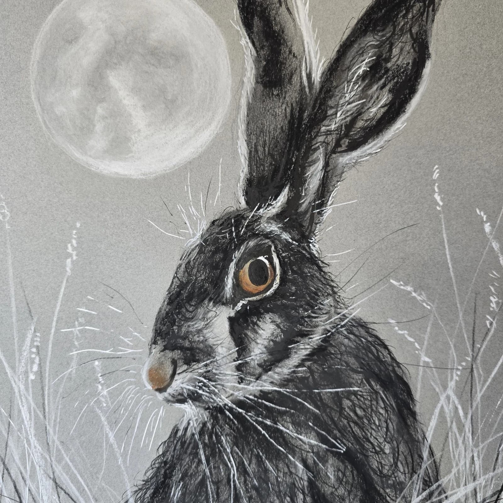 Hare Moon Charcoal Ink Drawing Framed thumbnail 11