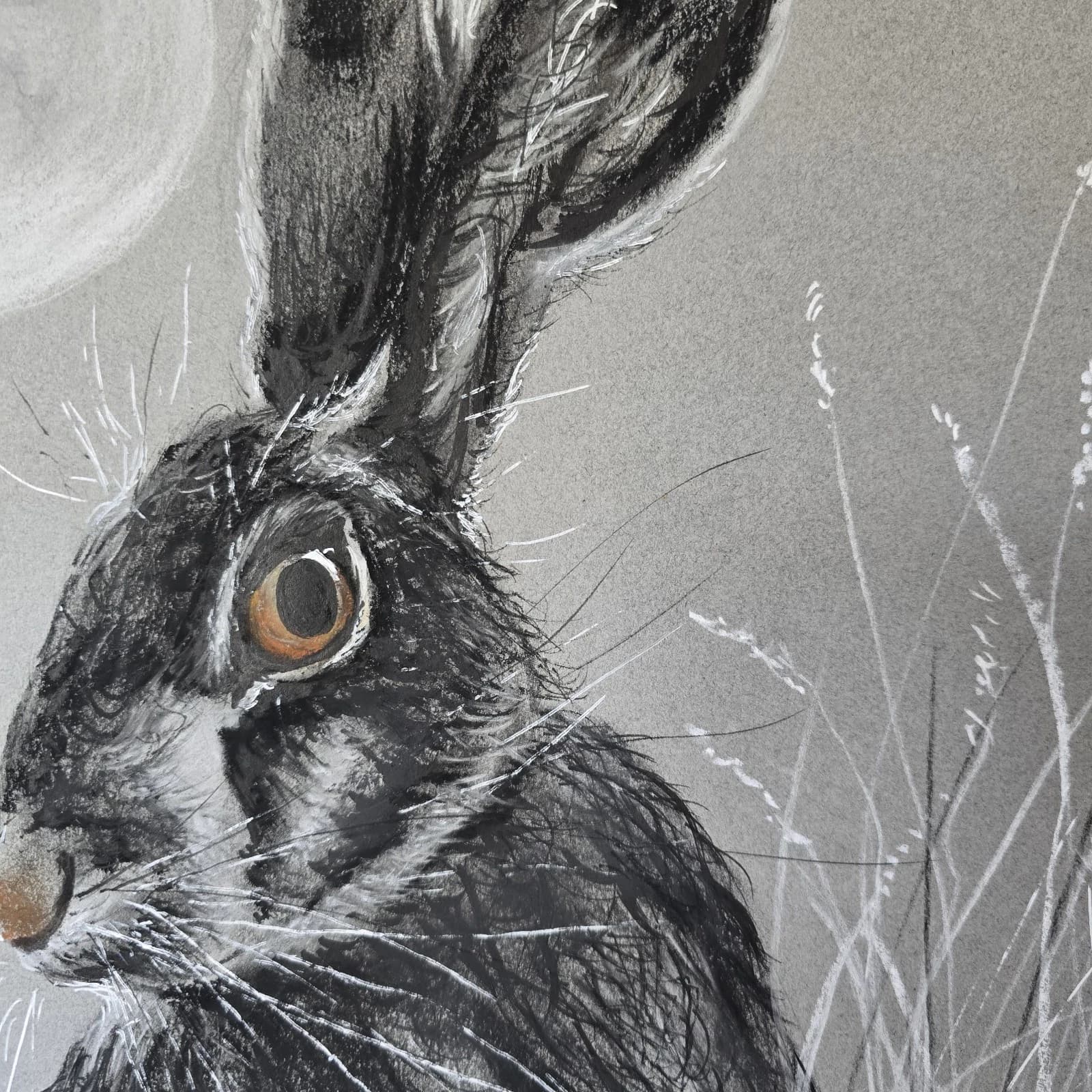 Hare Moon Charcoal Ink Drawing Framed thumbnail 9