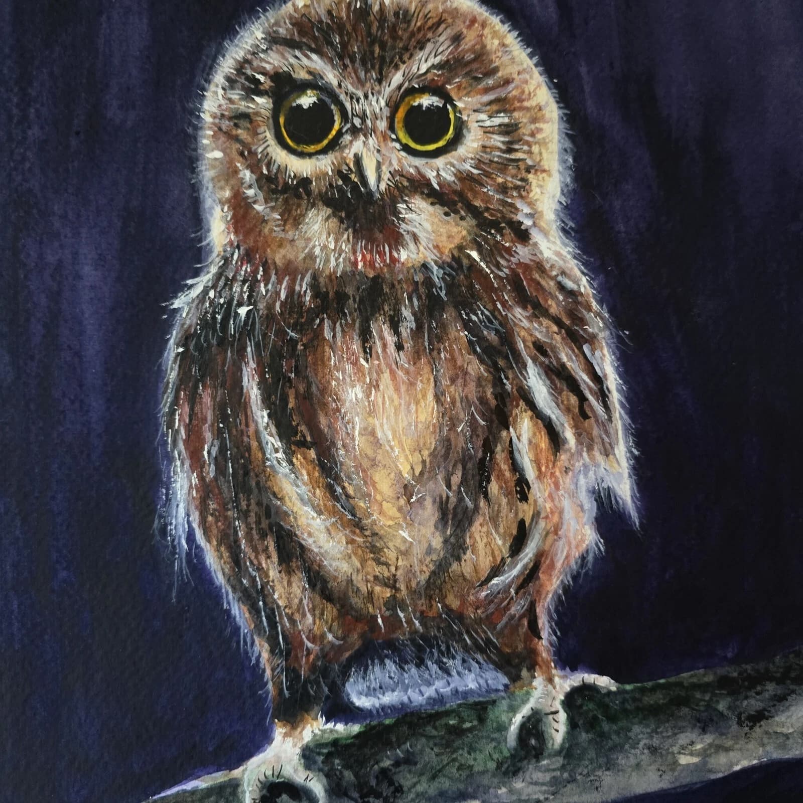 Little Owl Chick Watercolour Painting Framed Native Bird Wildlife thumbnail 2