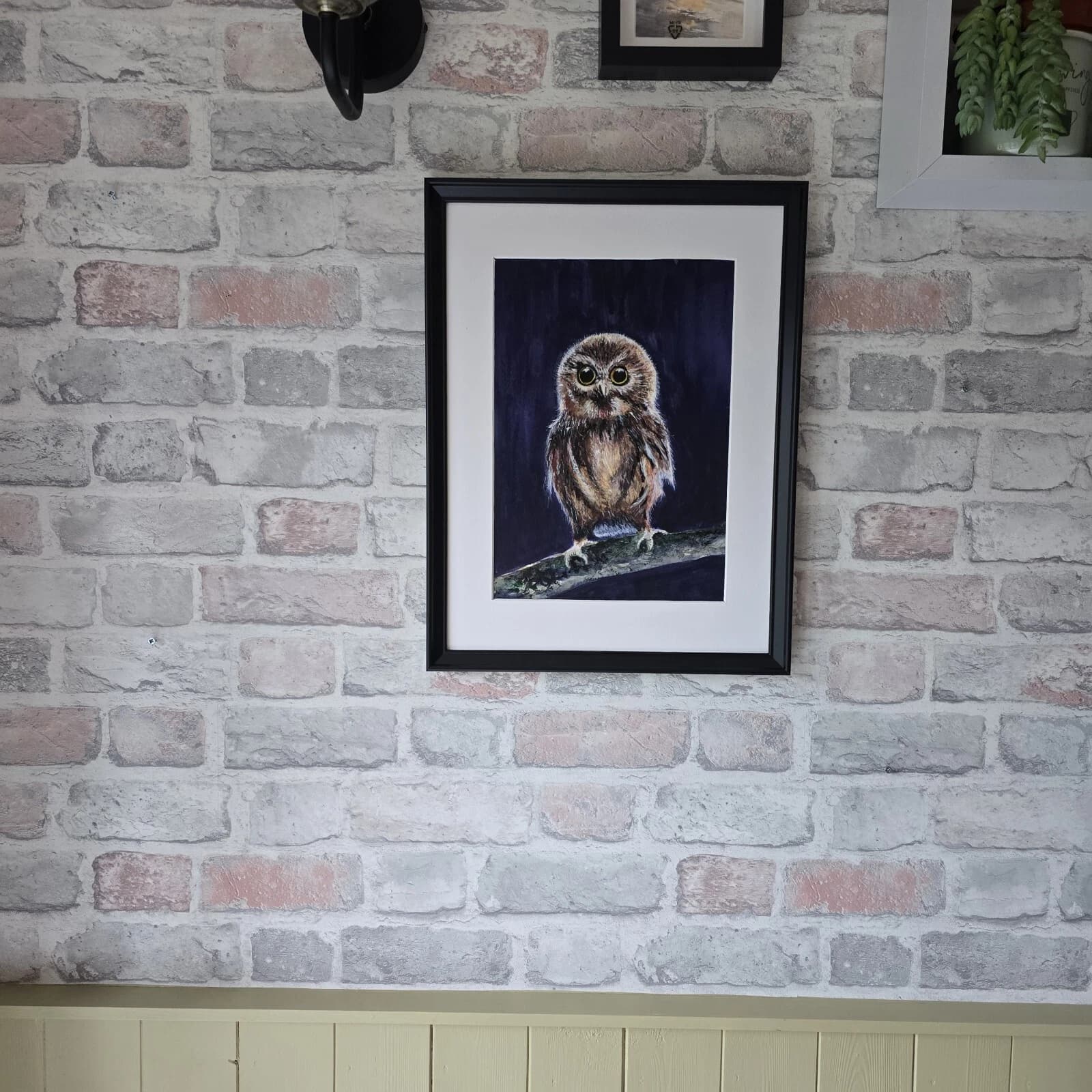 Little Owl Chick Watercolour Painting Framed Native Bird Wildlife thumbnail 4