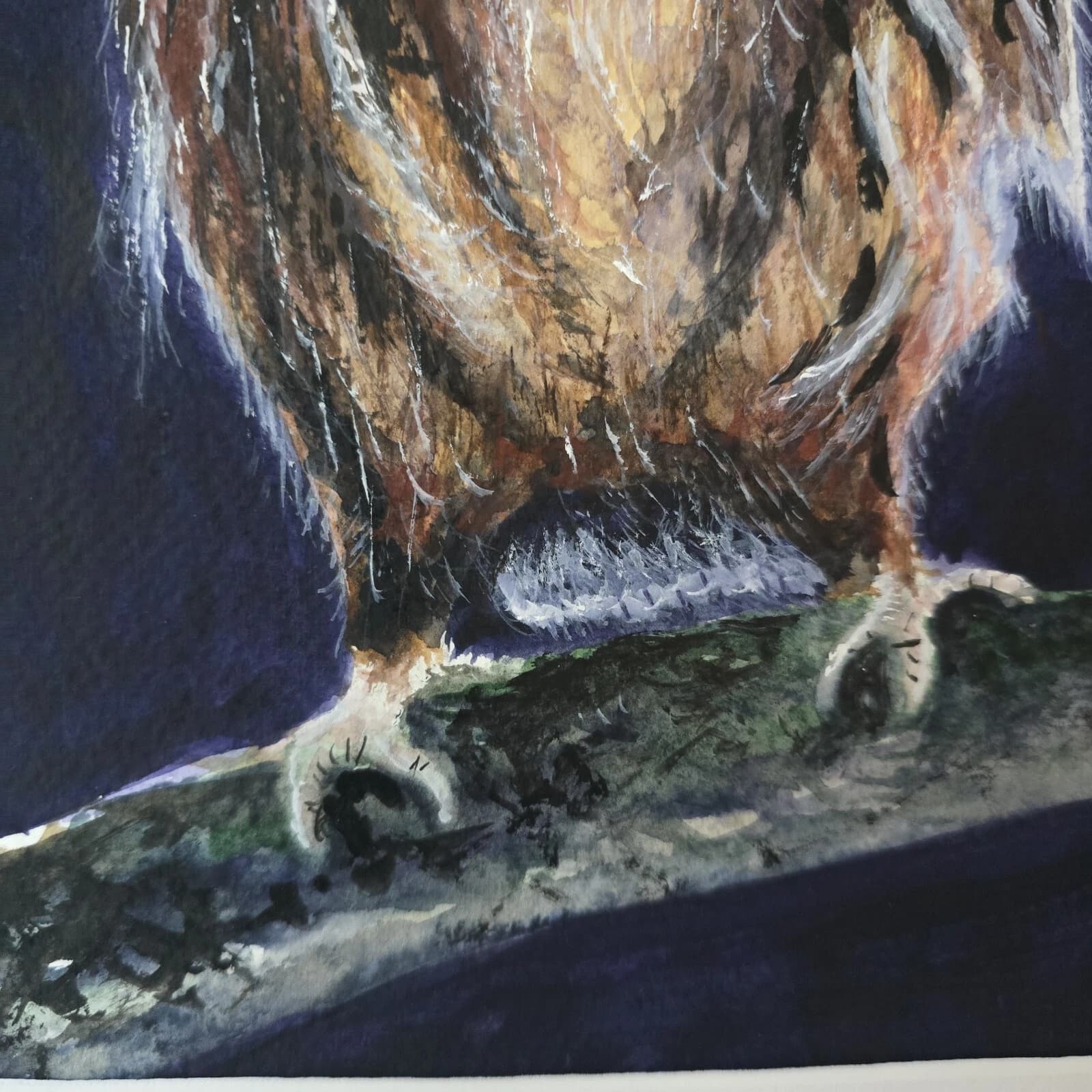 Little Owl Chick Watercolour Painting Framed Native Bird Wildlife thumbnail 7