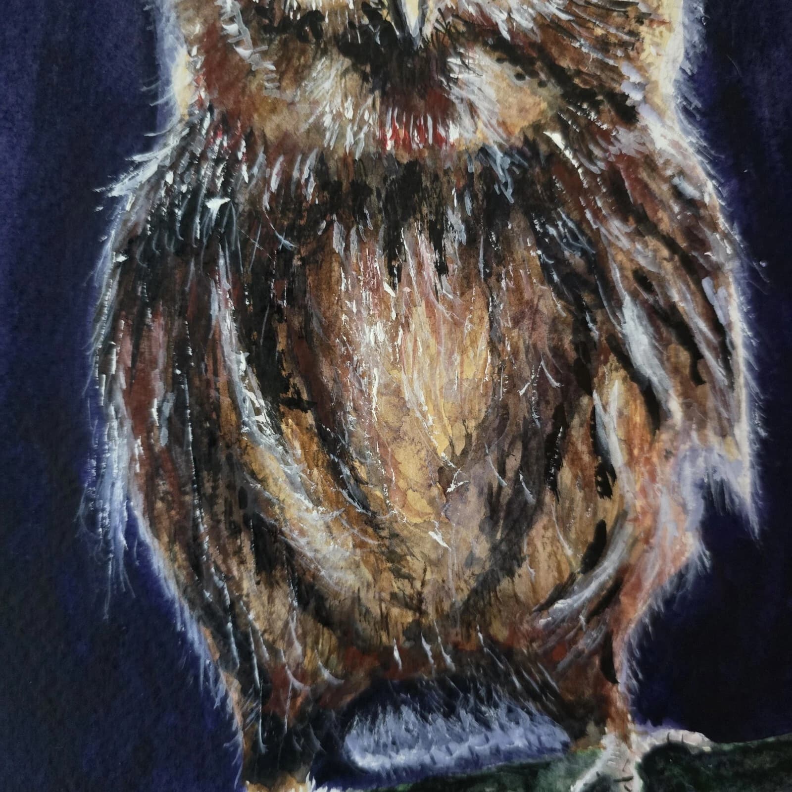Little Owl Chick Watercolour Painting Framed Native Bird Wildlife thumbnail 8