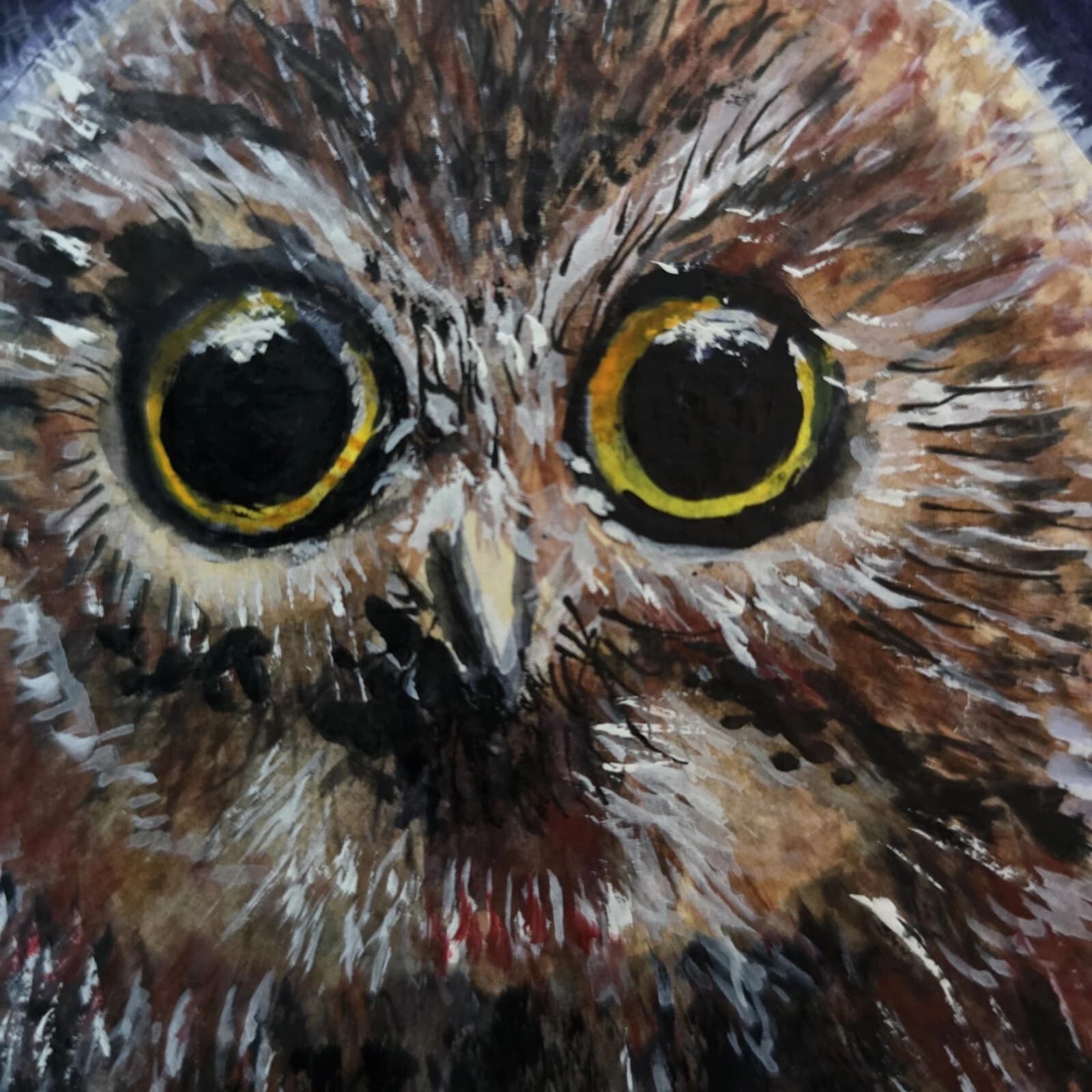 Little Owl Chick Watercolour Painting Framed Native Bird Wildlife thumbnail 9