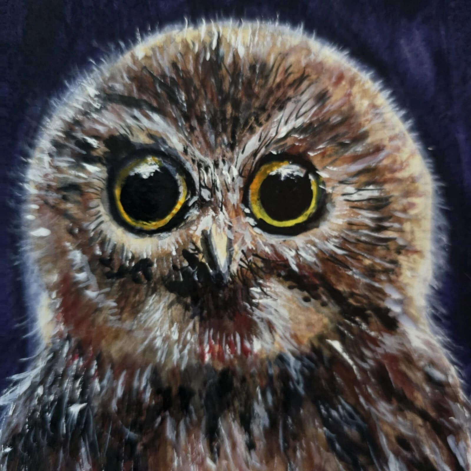 Little Owl Chick Watercolour Painting Framed Native Bird Wildlife