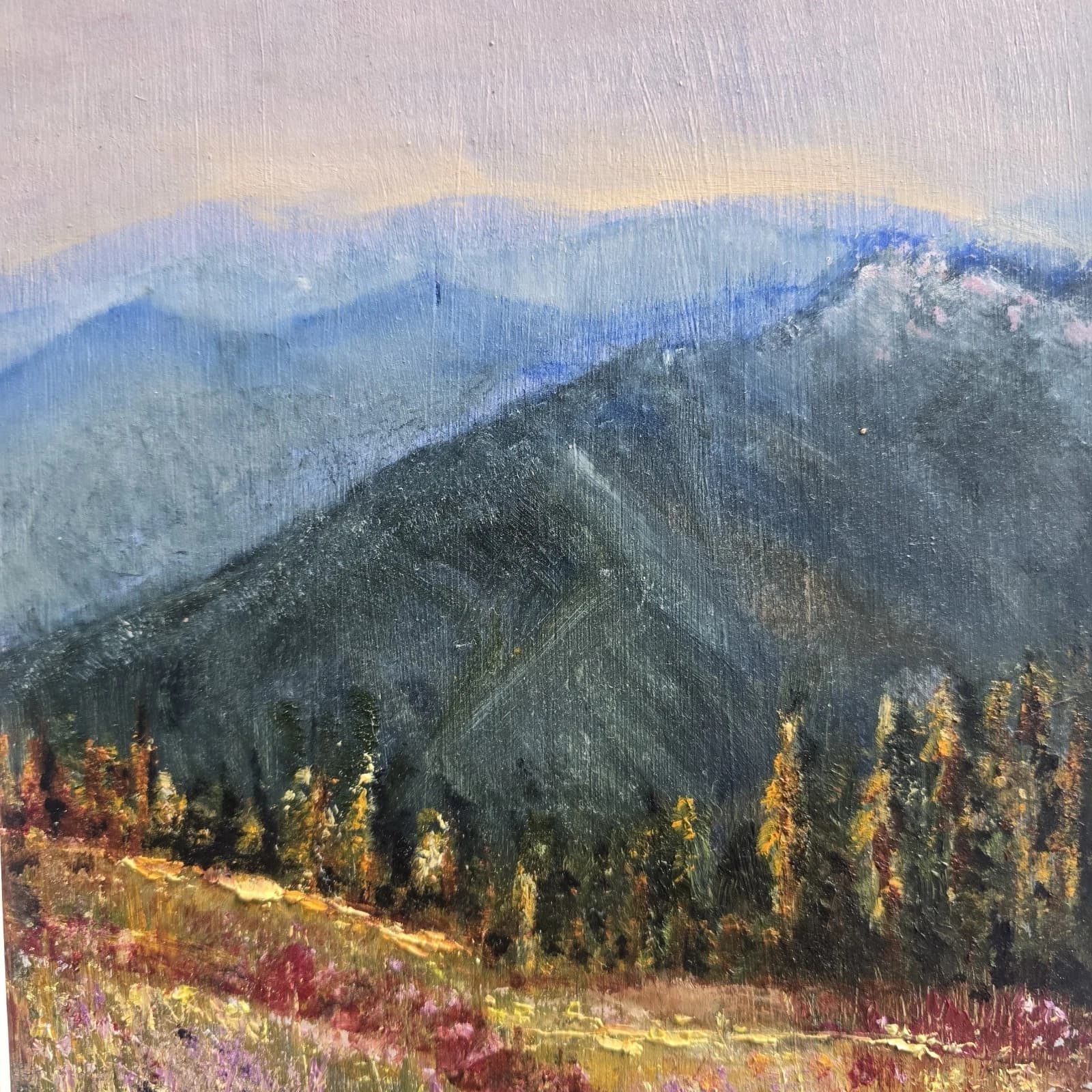 Oil Painting Mountains Fields Floral Landscape Framed thumbnail 6
