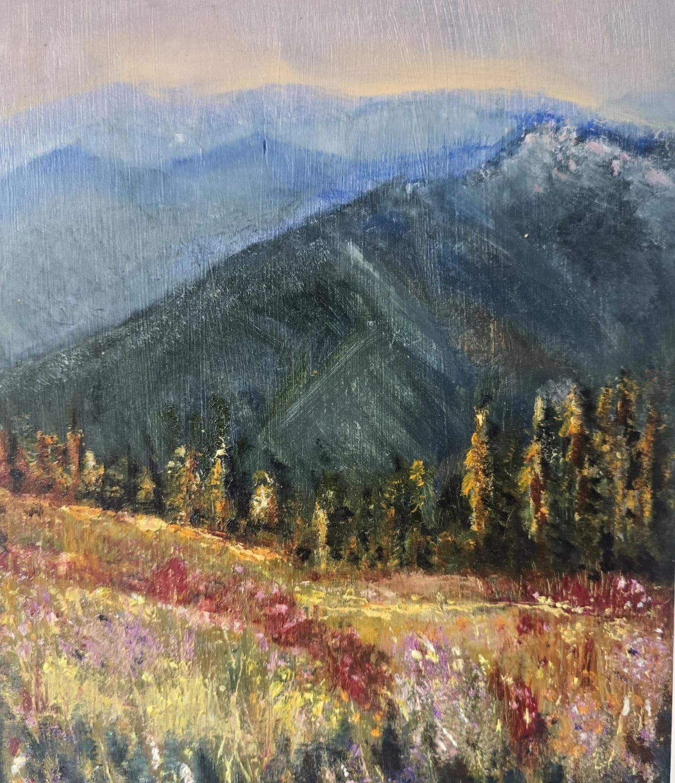 Oil Painting Mountains Fields Floral Landscape Framed thumbnail 10