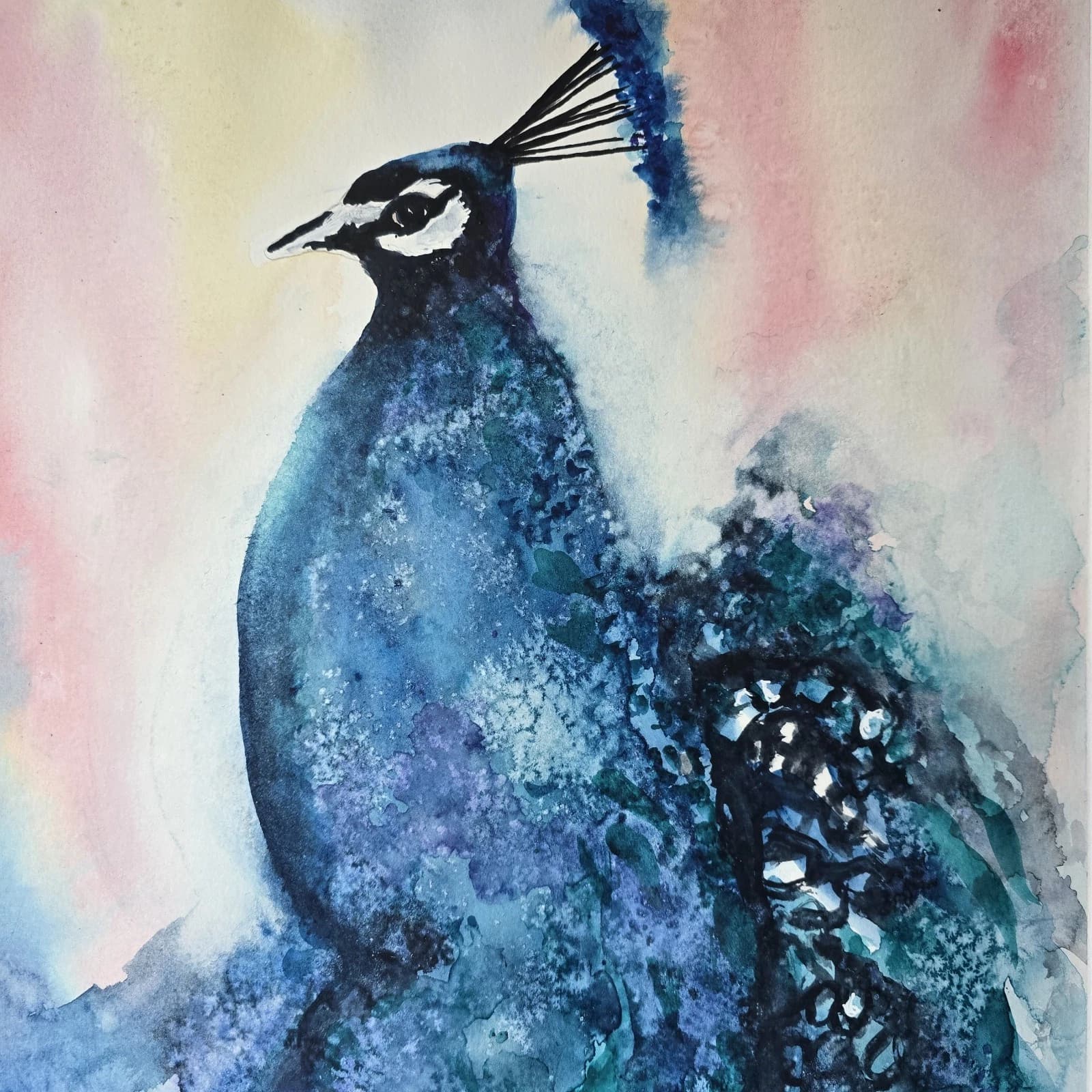 Peacock Wildlife Watercolour Painting Bird Framed thumbnail 13