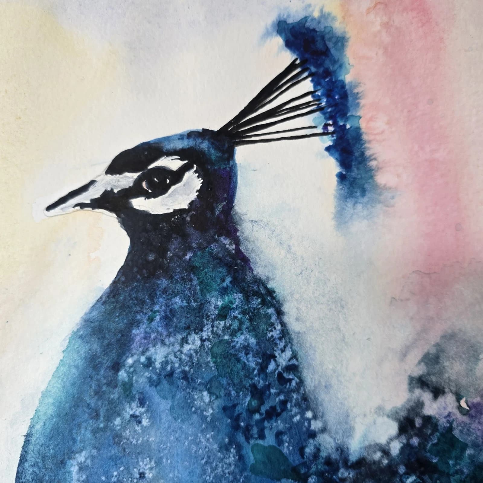 Peacock Wildlife Watercolour Painting Bird Framed thumbnail 9