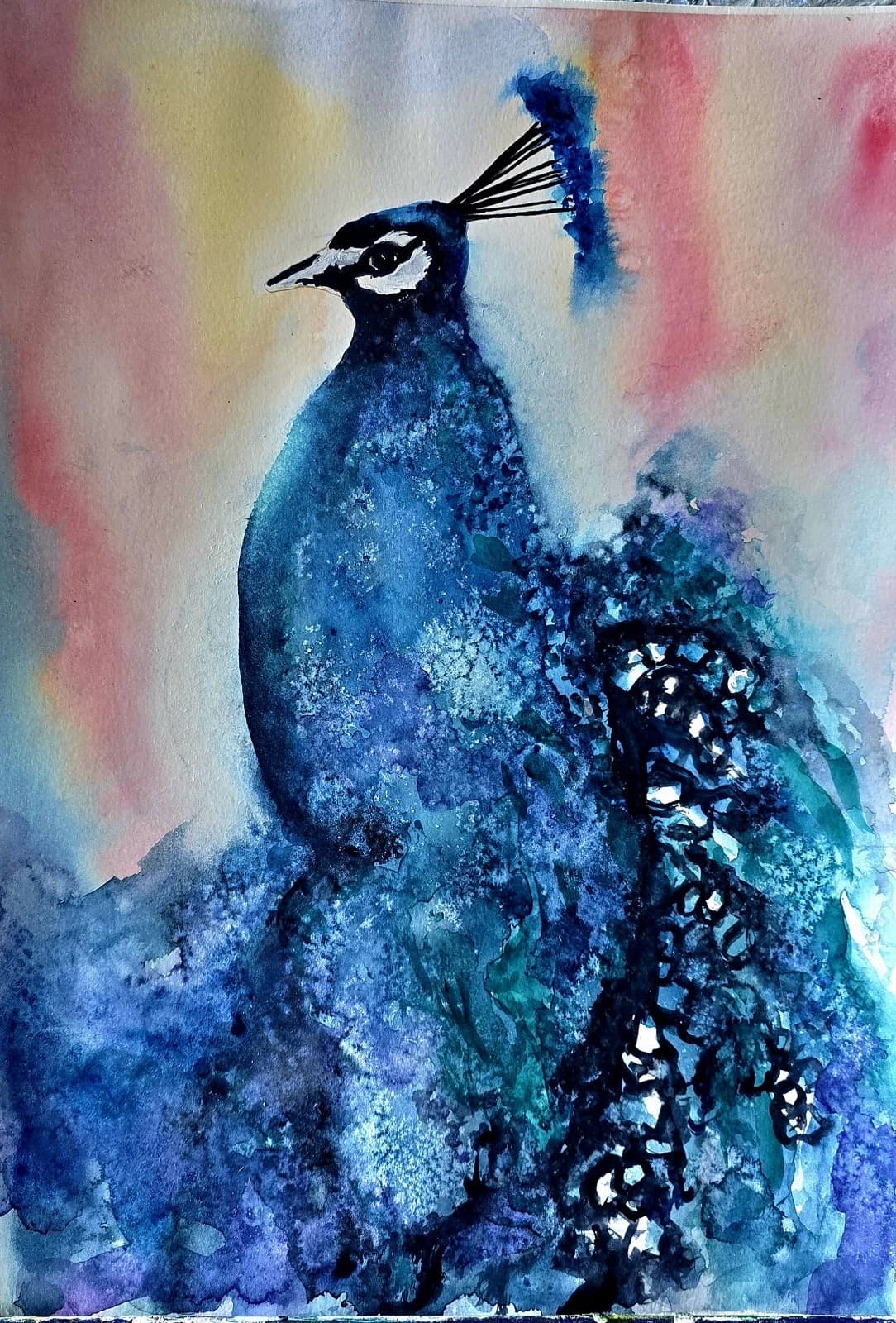 Peacock Wildlife Watercolour Painting Bird Framed