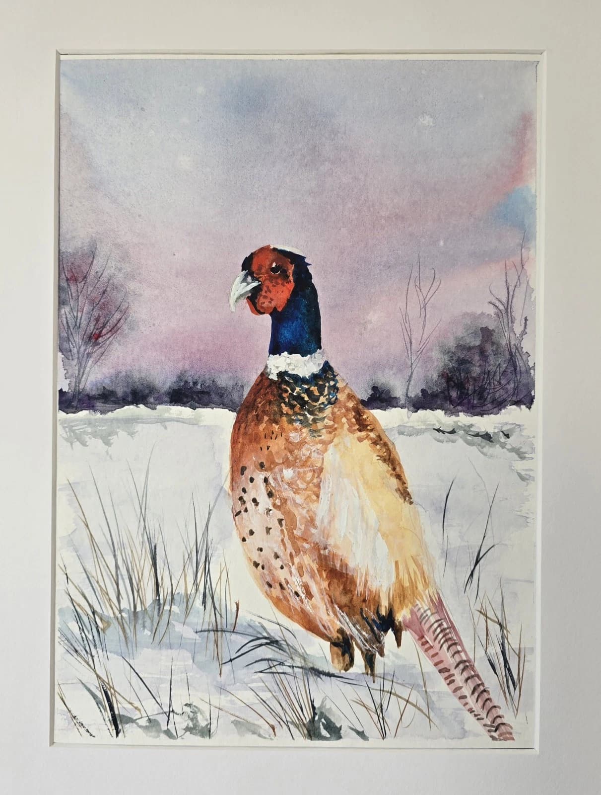 Pheasant Game Bird Watercolour Painting Gift Framed thumbnail 13