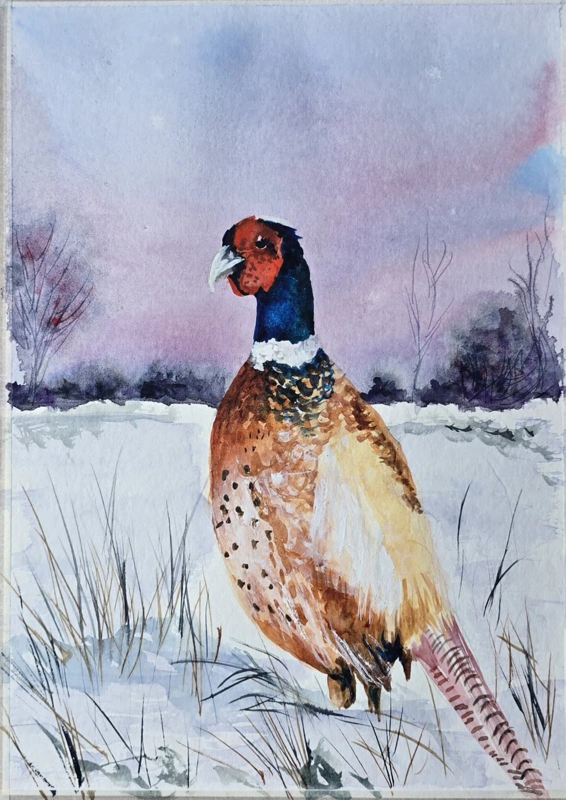 Pheasant Game Bird Watercolour Painting Gift Framed thumbnail 3