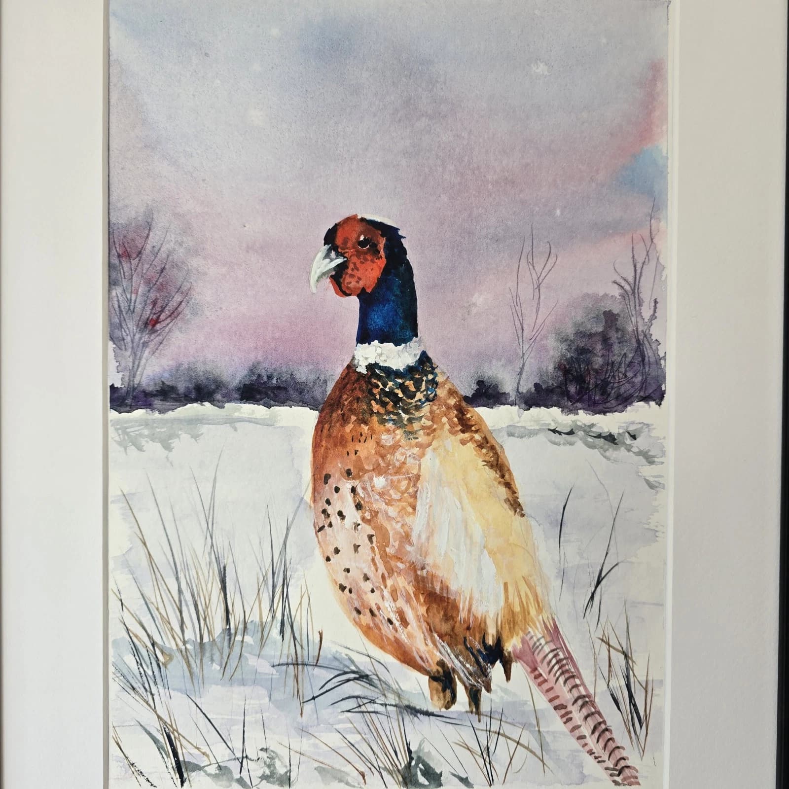 Pheasant Game Bird Watercolour Painting Gift Framed thumbnail 5