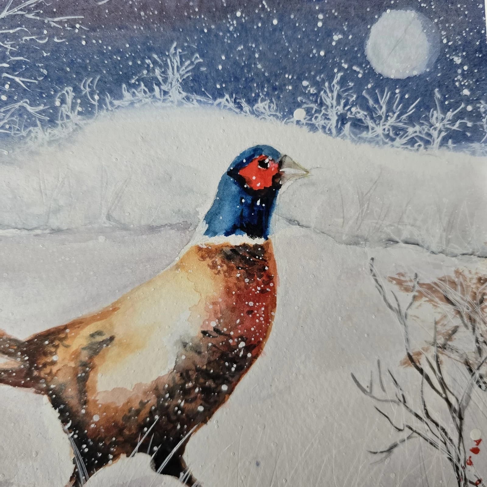 Pheasant Game Bird Watercolour Snow Winter Painting Gift Framed thumbnail 12