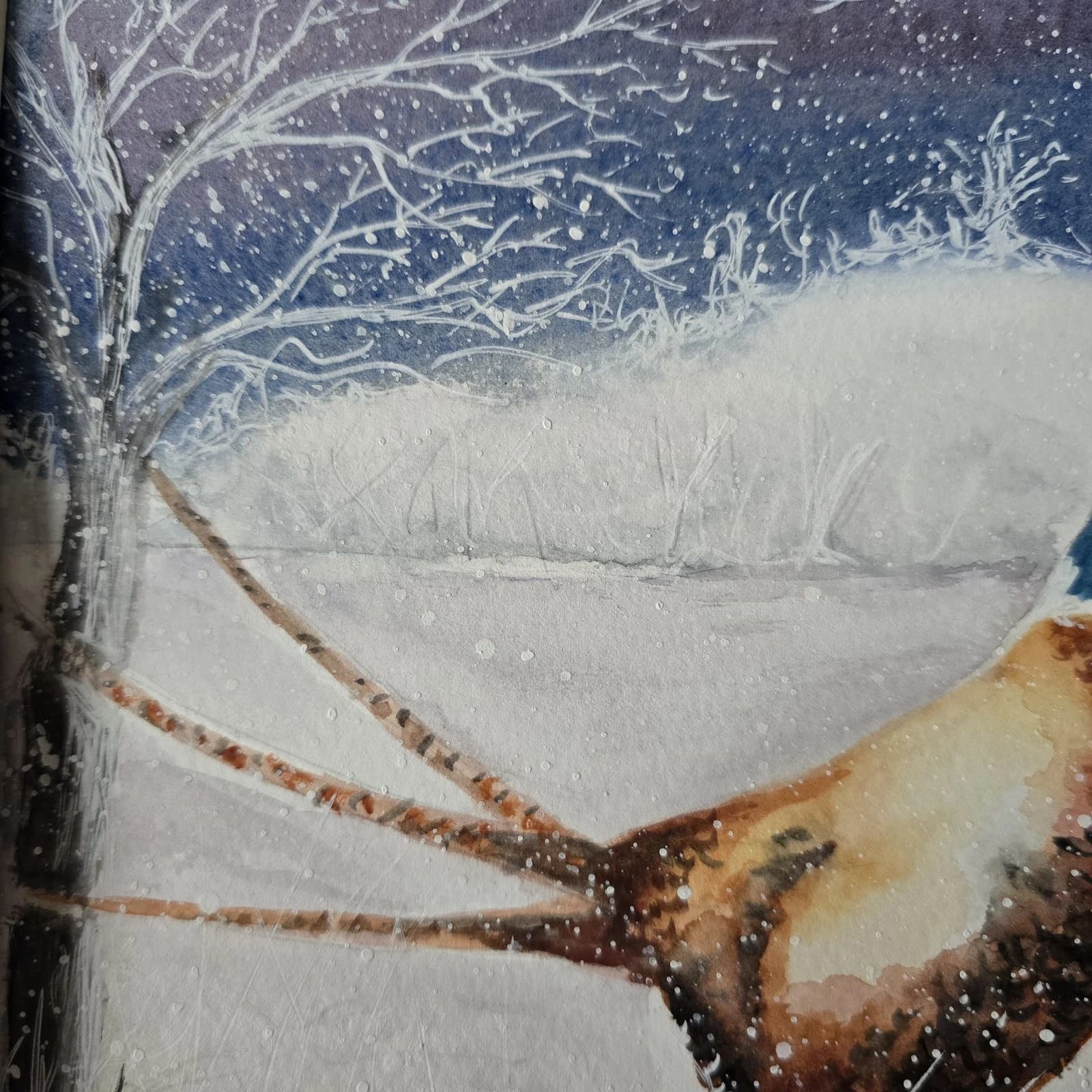 Pheasant Game Bird Watercolour Snow Winter Painting Gift Framed thumbnail 13